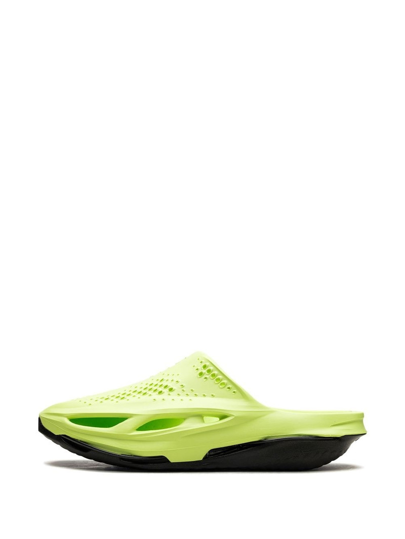 x Matthew M. Williams 005 slides 5