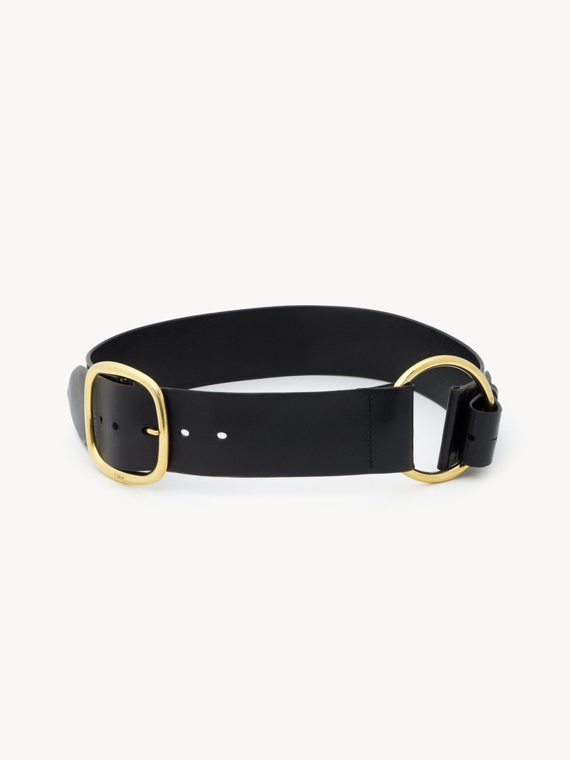 THE CHLOÉ ANITA BELT 1