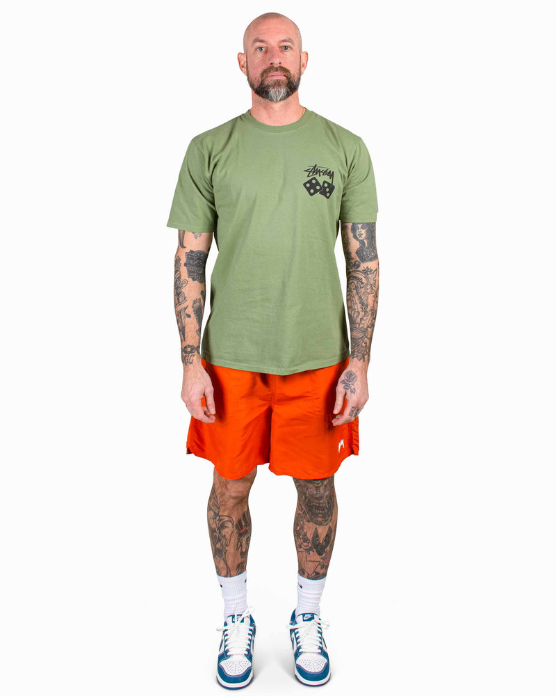 Stüssy Stüssy Stock Water Short Clay outlook