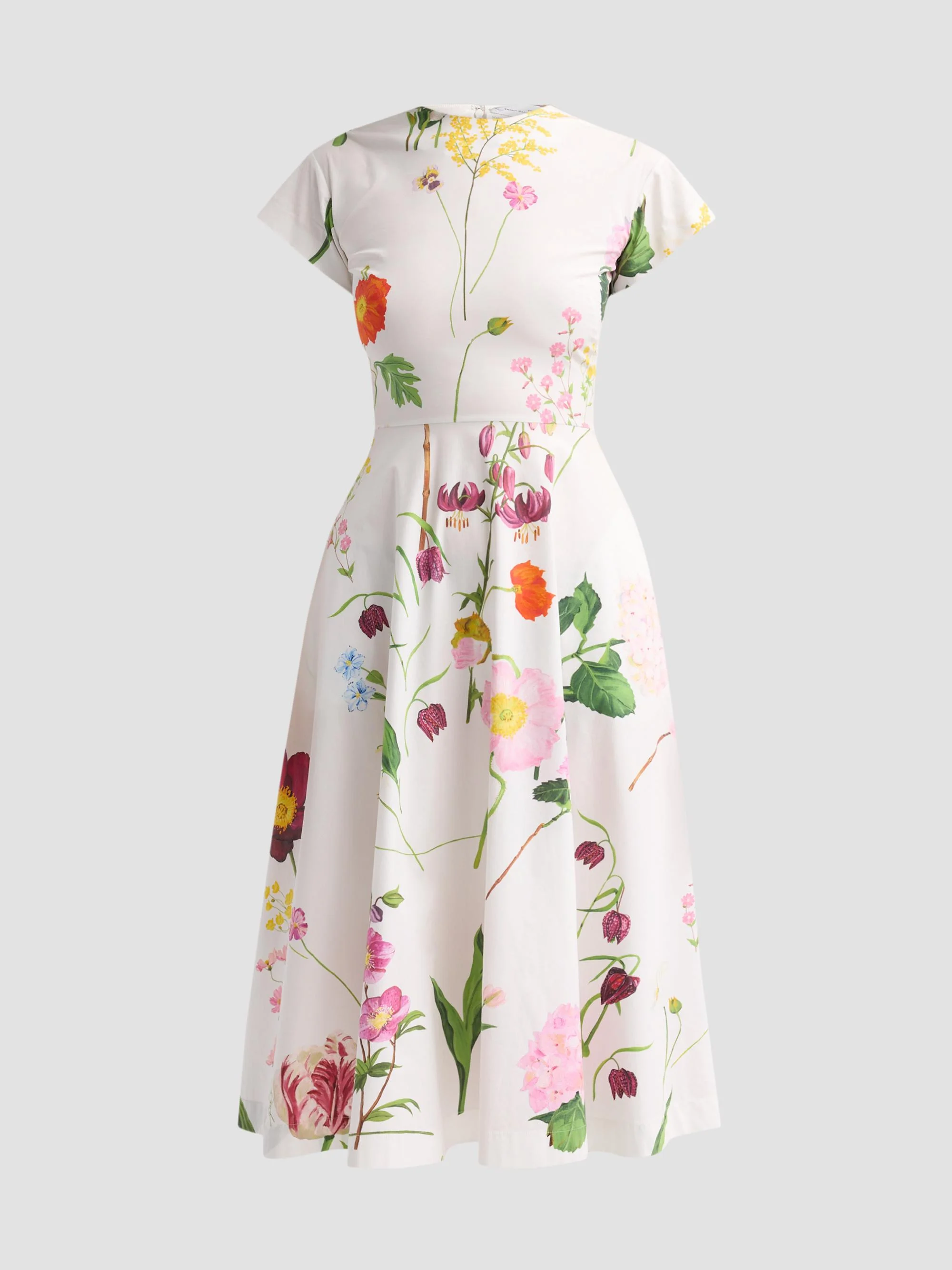Women's Mixed Botanical Cotton Poplin Midi Dress - White Multi - 1