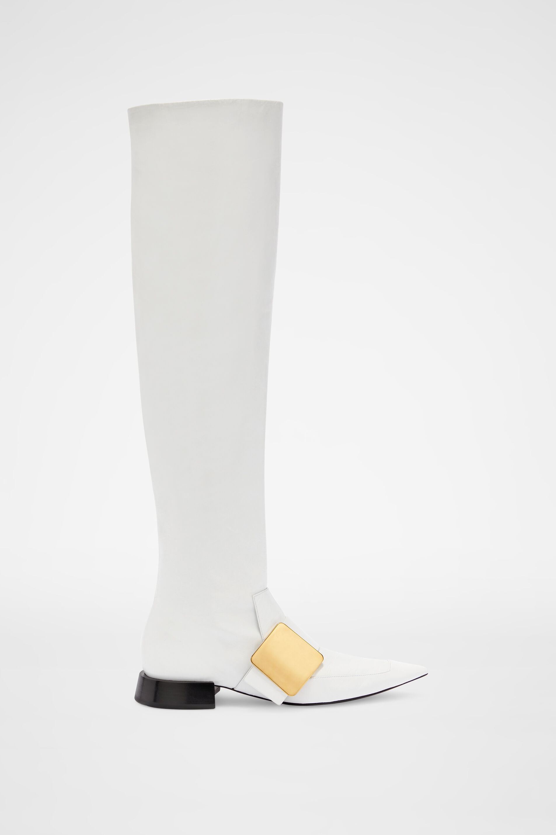 Knee Boots - 1