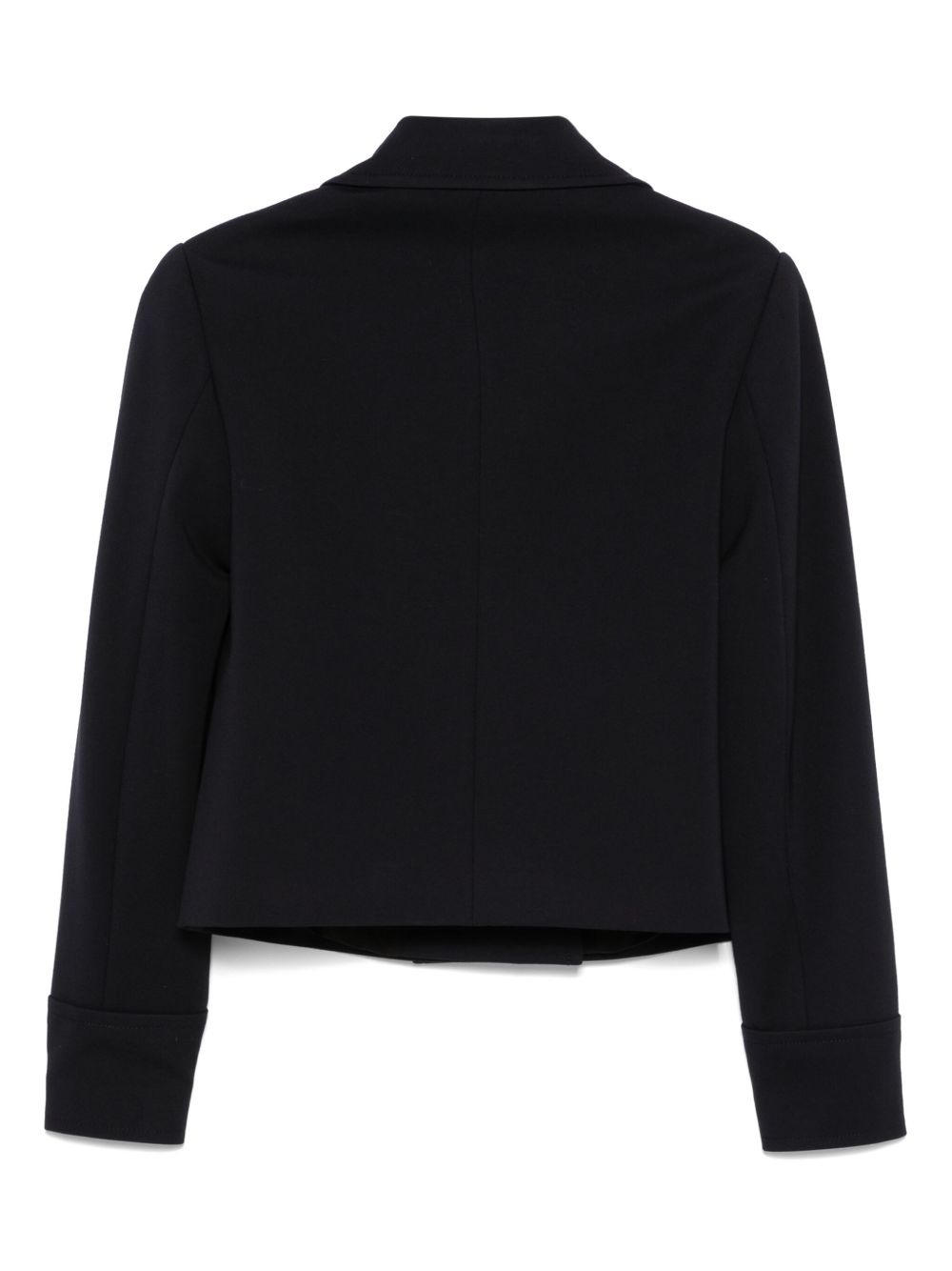 Emotional Essence I blazer - 2