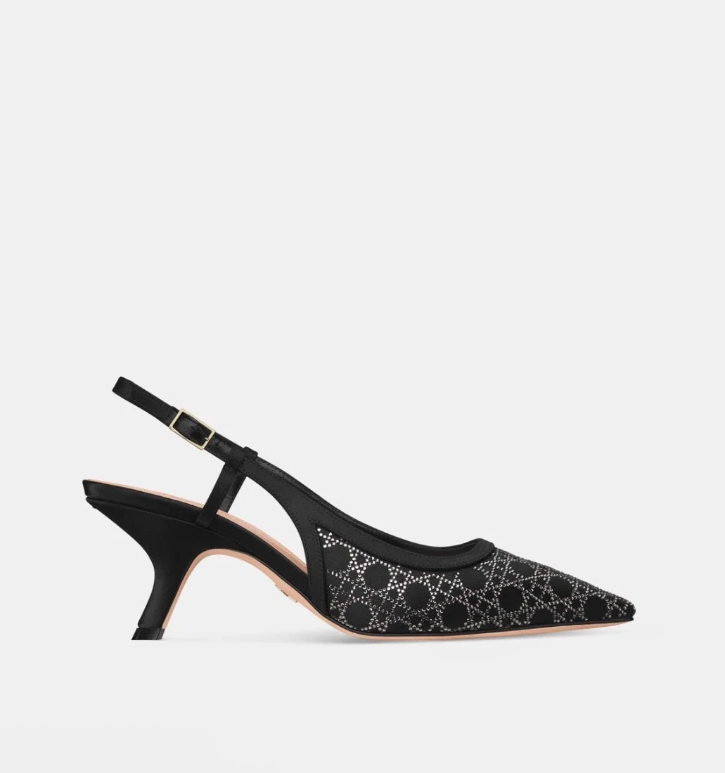 Dior Capture Slingback Pump - 1
