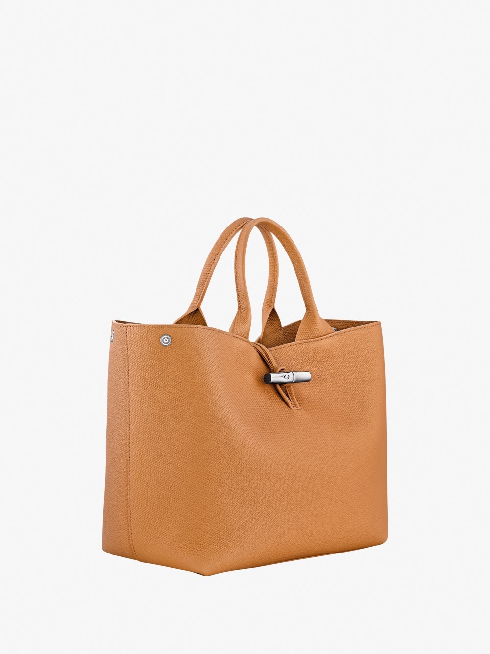 `Le Roseau` Large Handbag - 3