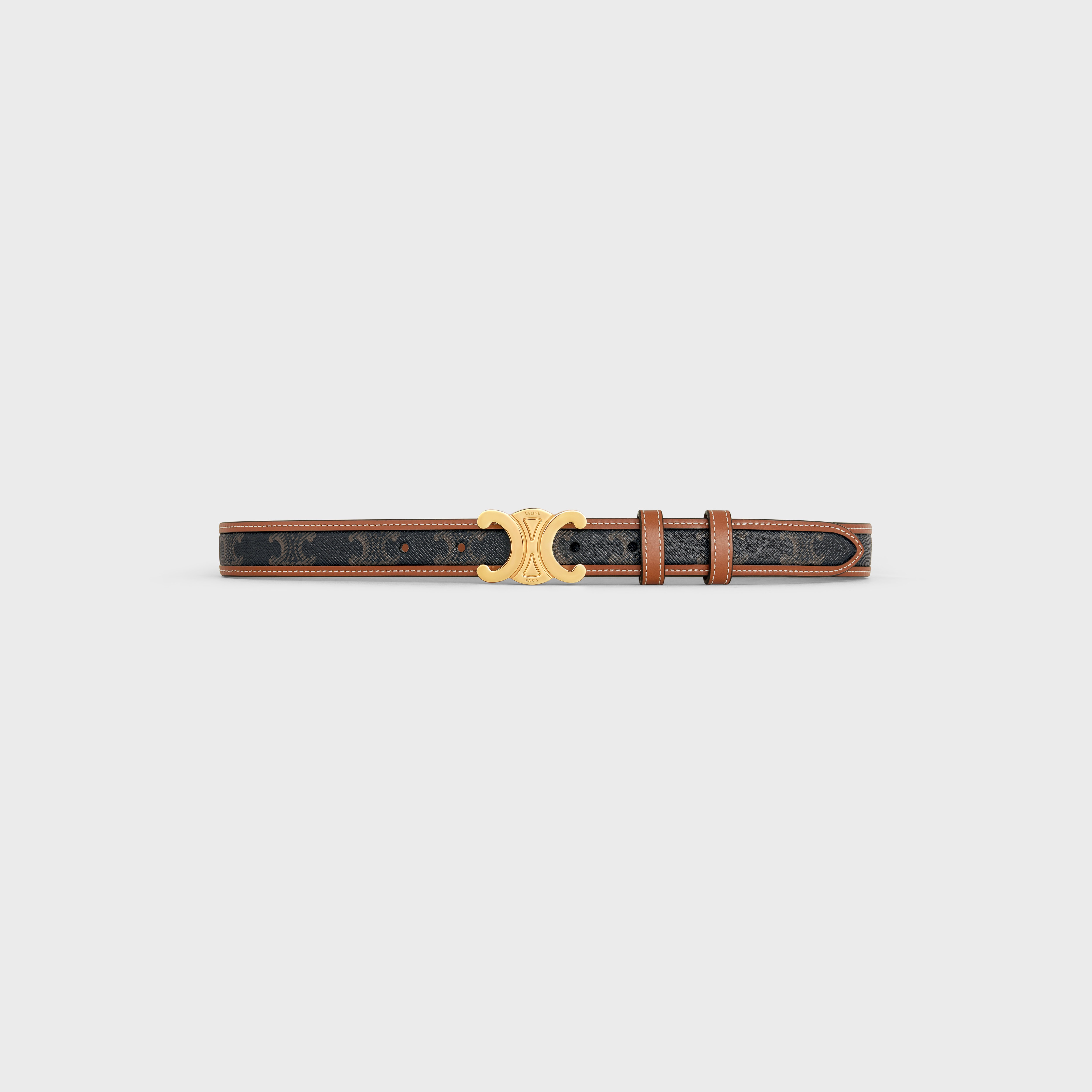 Medium Triomphe Belt in Triomphe Canvas and Calfskin - 1