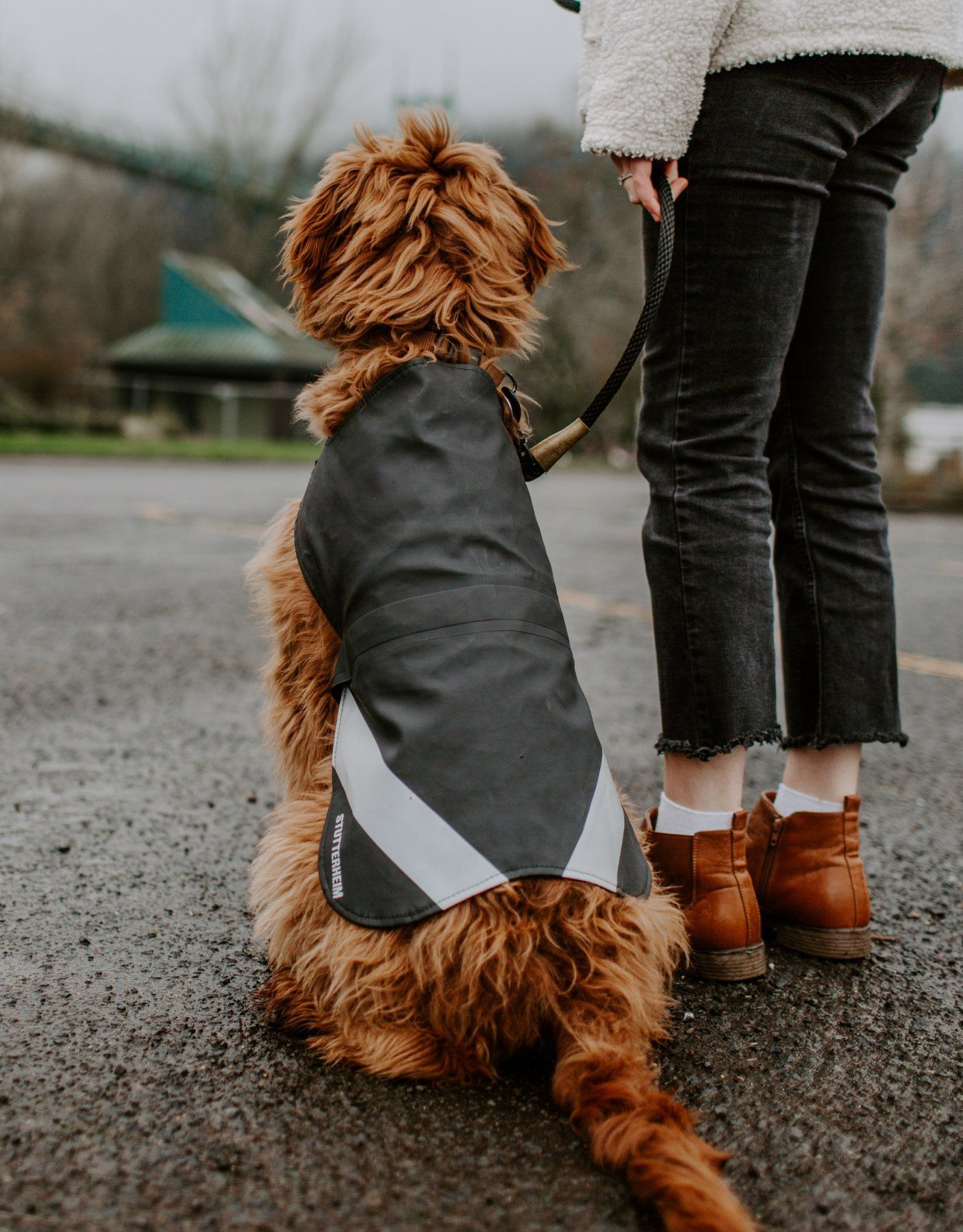 Dog Raincoat Black - 5