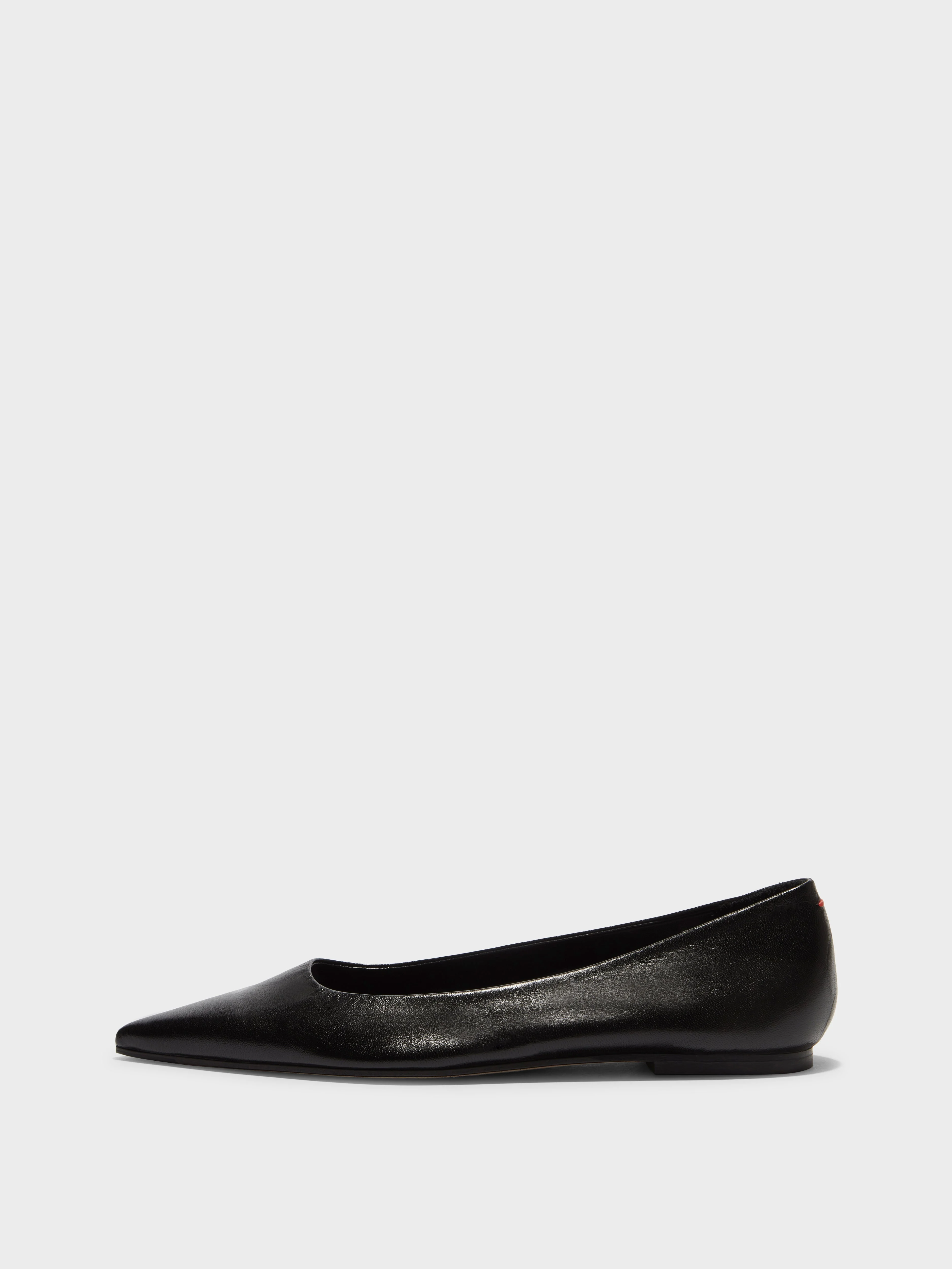 Cassy Pointed-Toe Flats - 1