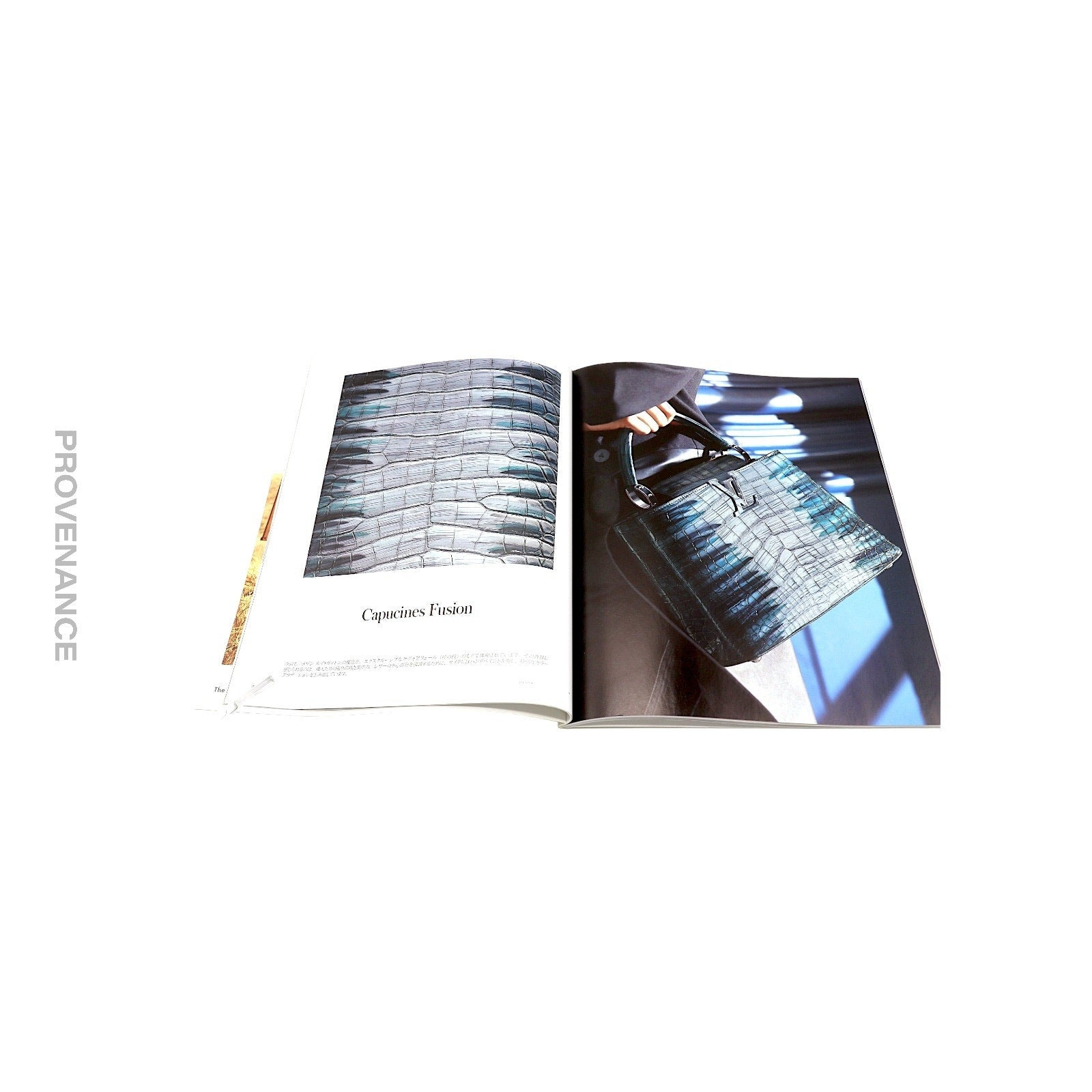 Louis Vuitton - The Book #8 - 6
