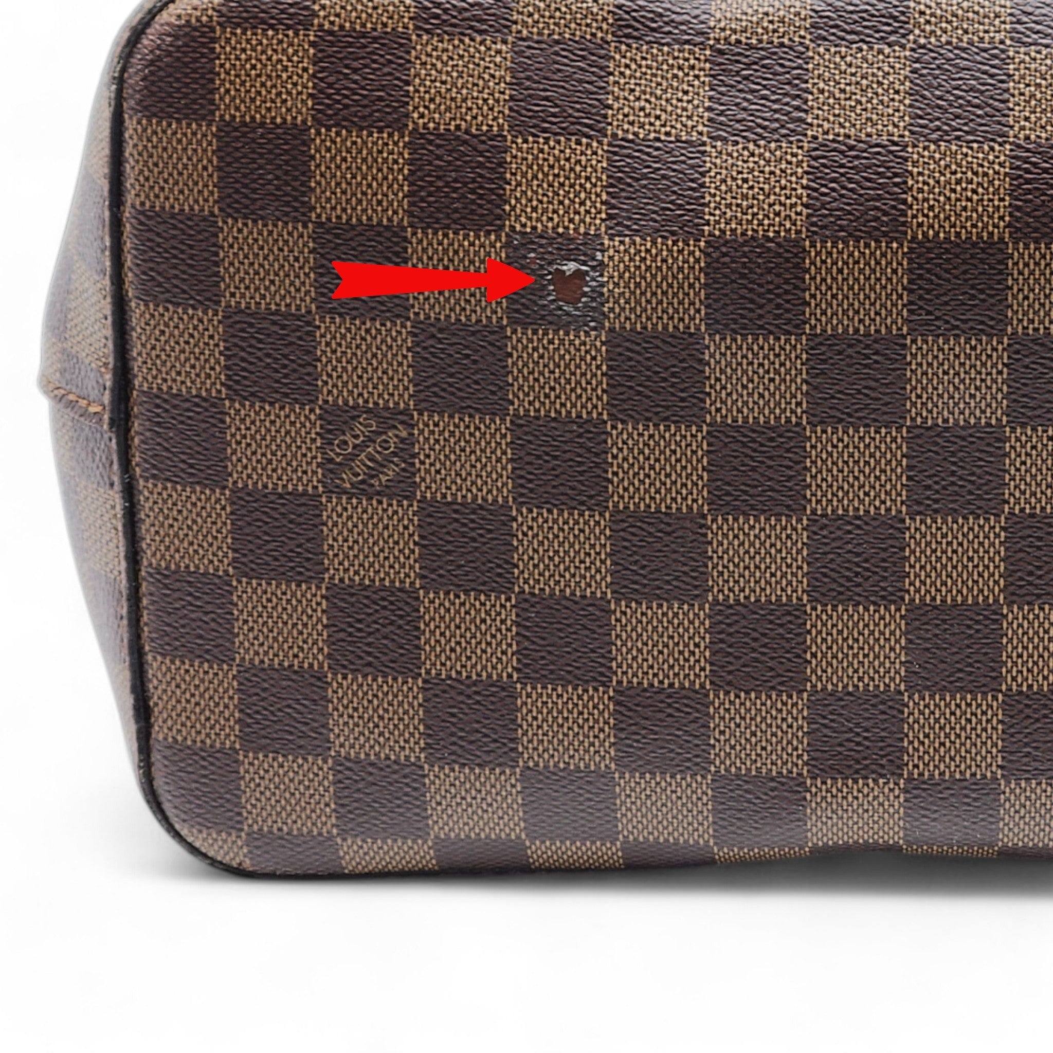 Louis Vuitton Venus Damier Canvas Neonoe Bag - 9