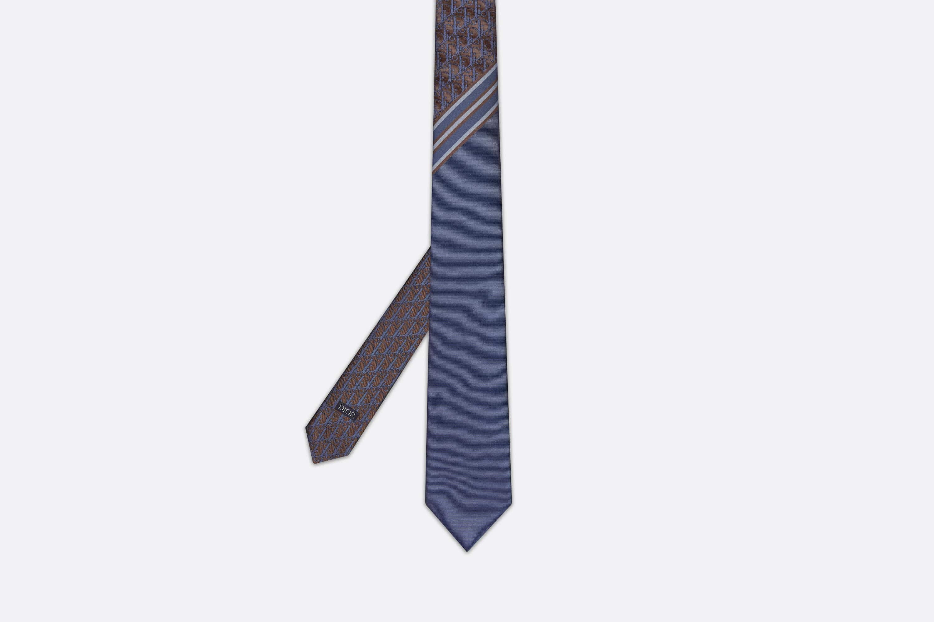 Striped Dior Oblique Tie - 5