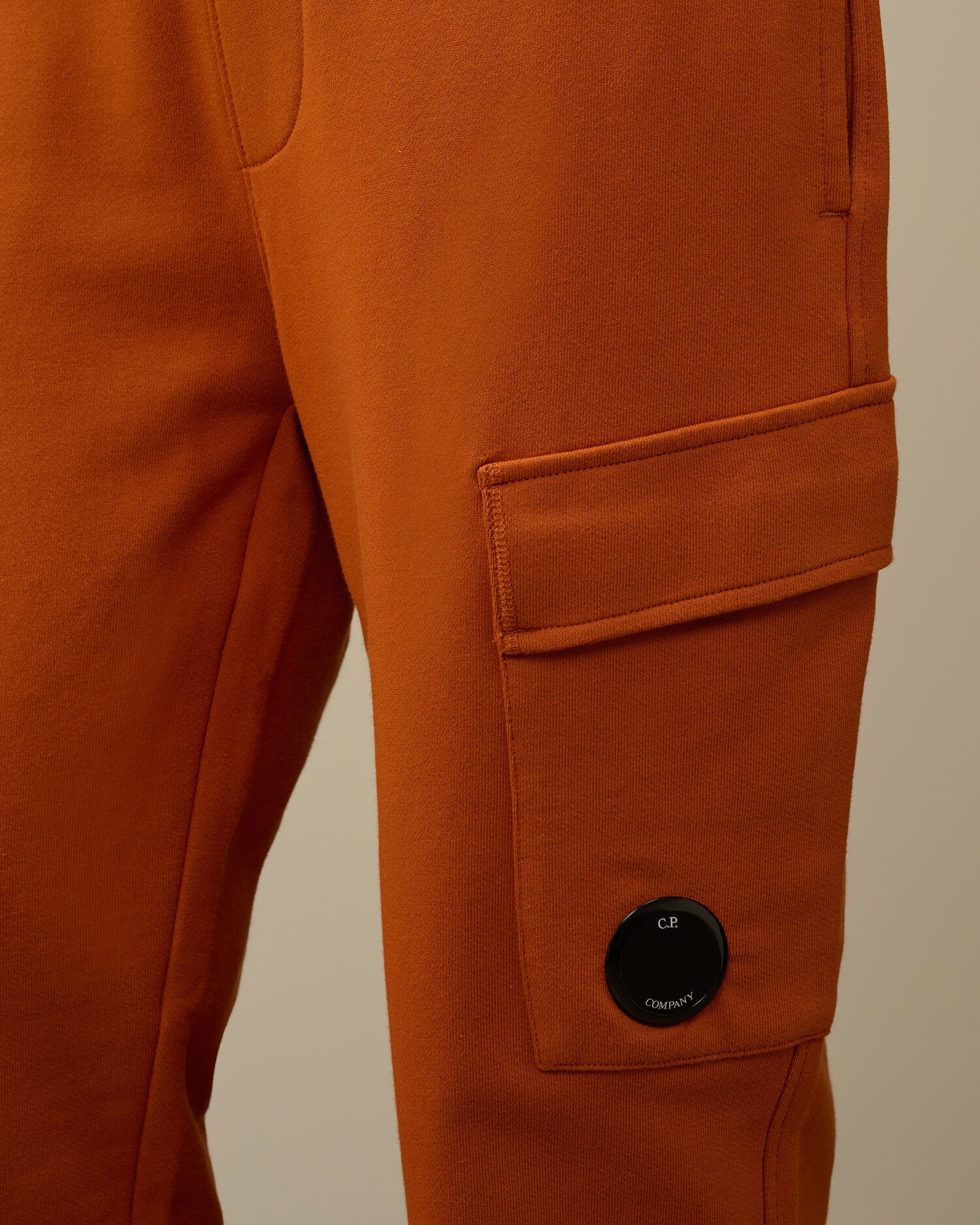 Diagonal Raised Fleece Cargo Sweatpants - 4