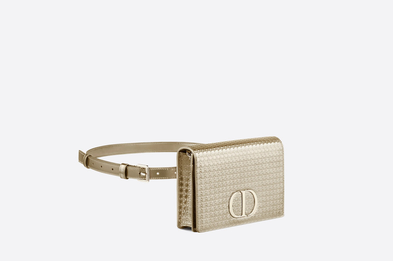 Dior 2-in-1 30 Montaigne Pouch outlook