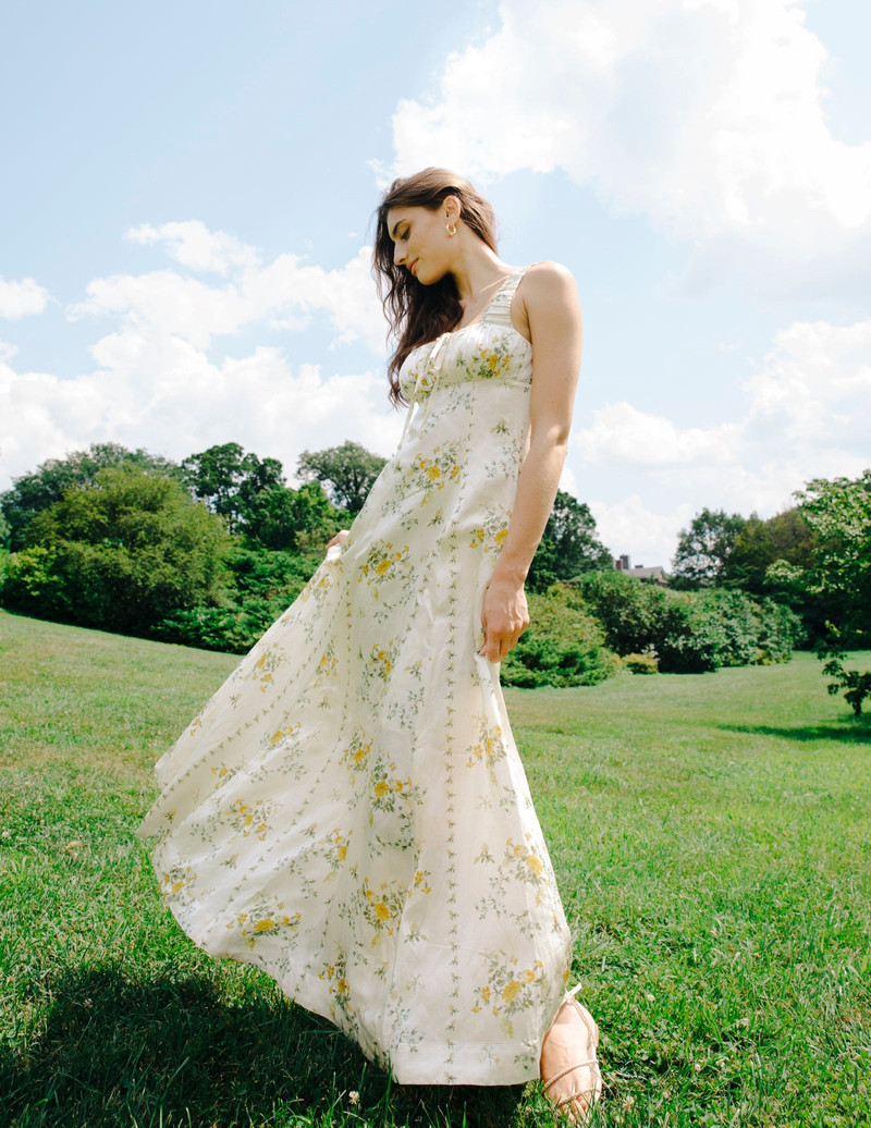 Adrianna Maxi Dress 1