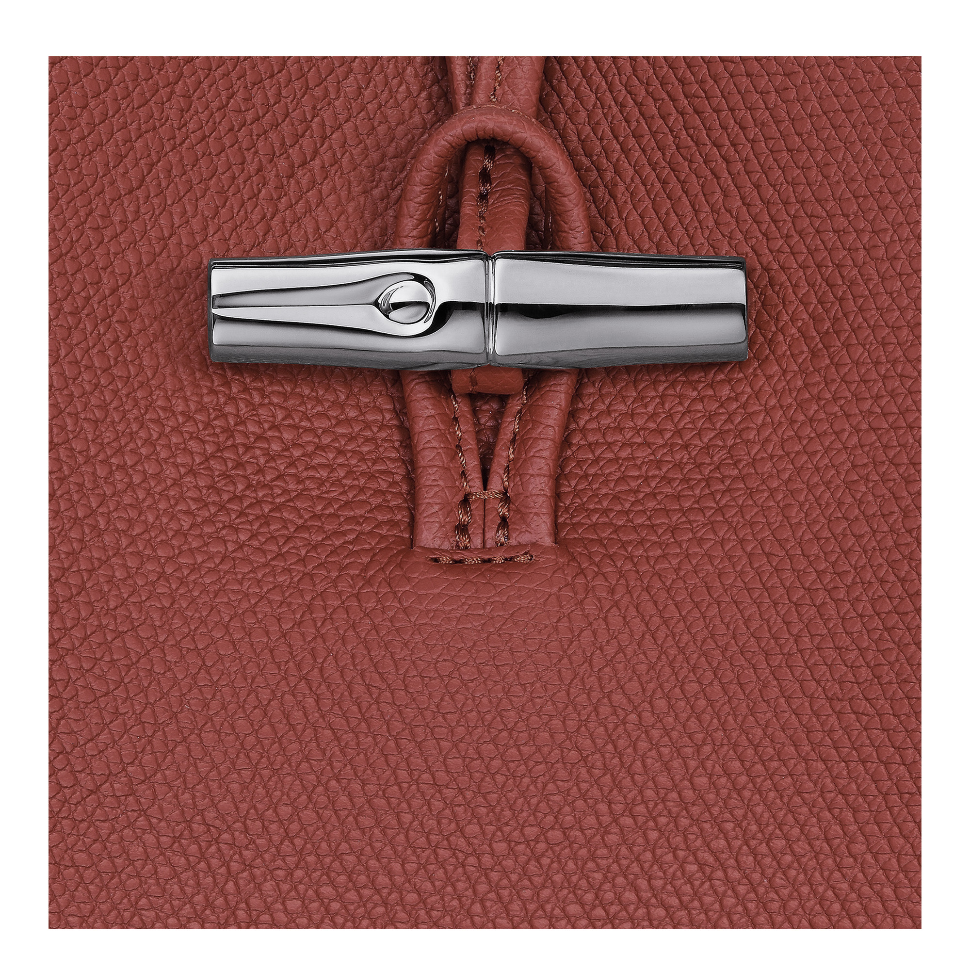 Le Roseau M Shoulder bag Chestnut - Leather - 6