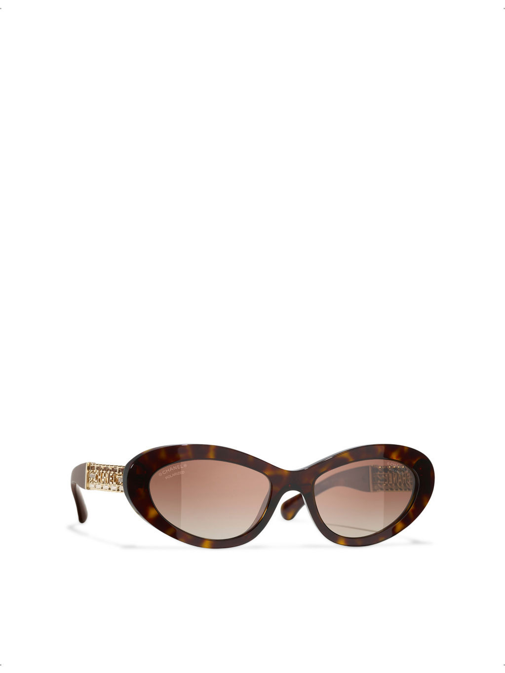 CH5538Q Cat-Eye Acetate Sunglasses - 3