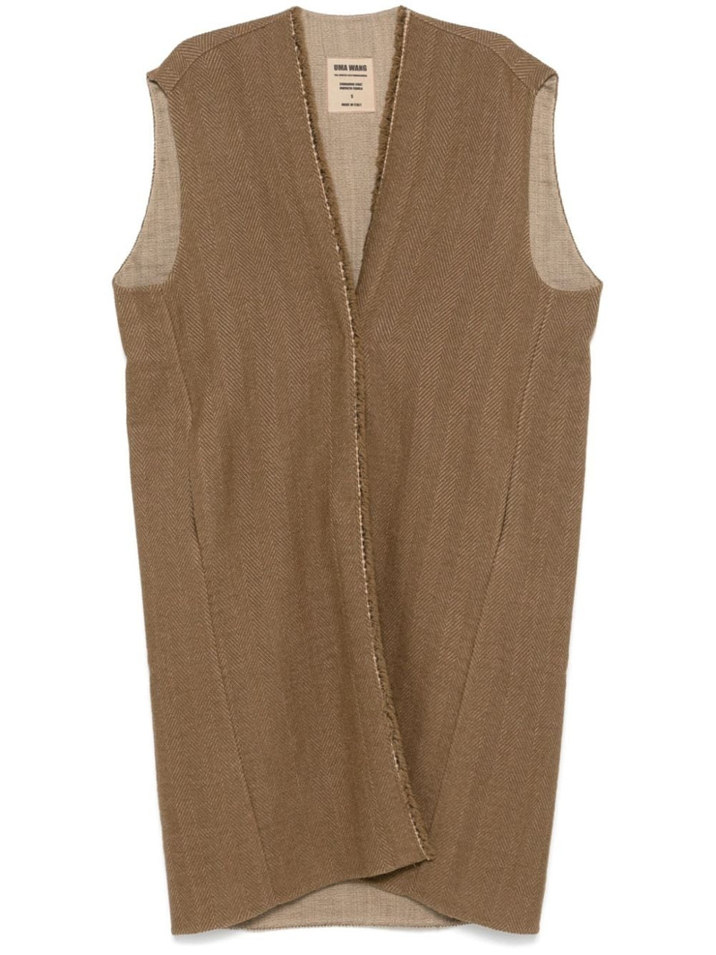 Cinnamon coat 1
