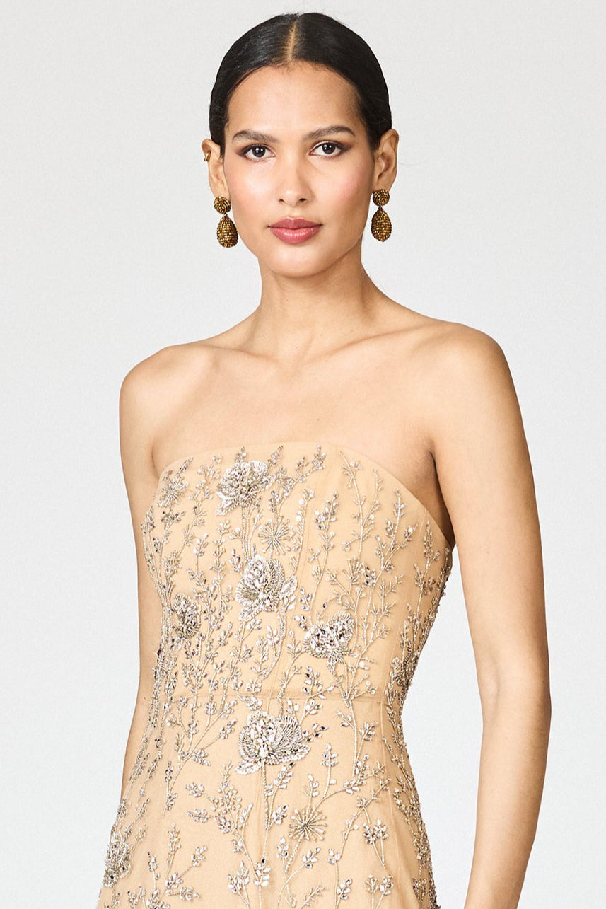 EMBELLISHED VIENNA GOWN - FAWN - 4