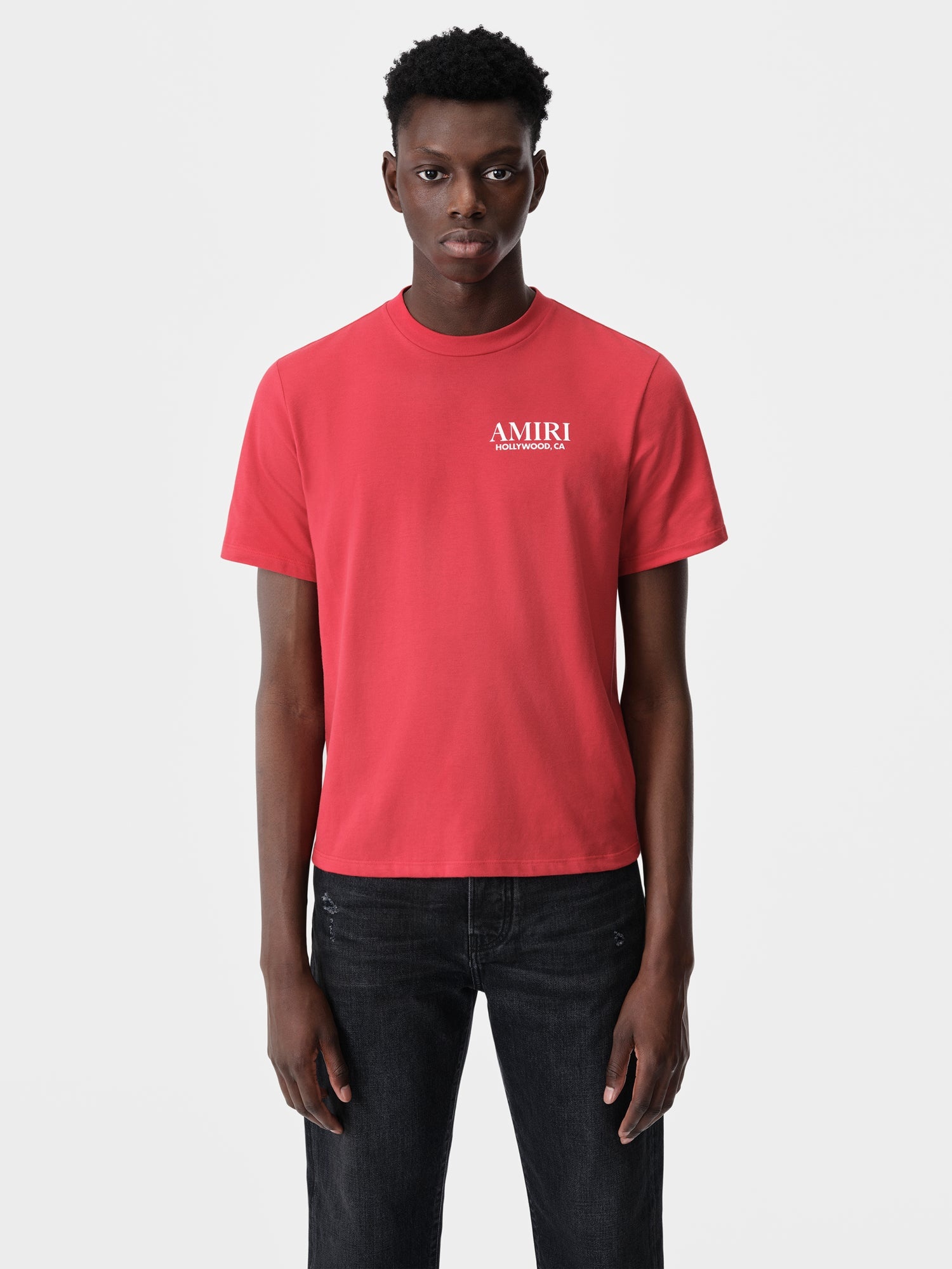 AMIRI BONES STACKED TEE | REVERSIBLE
