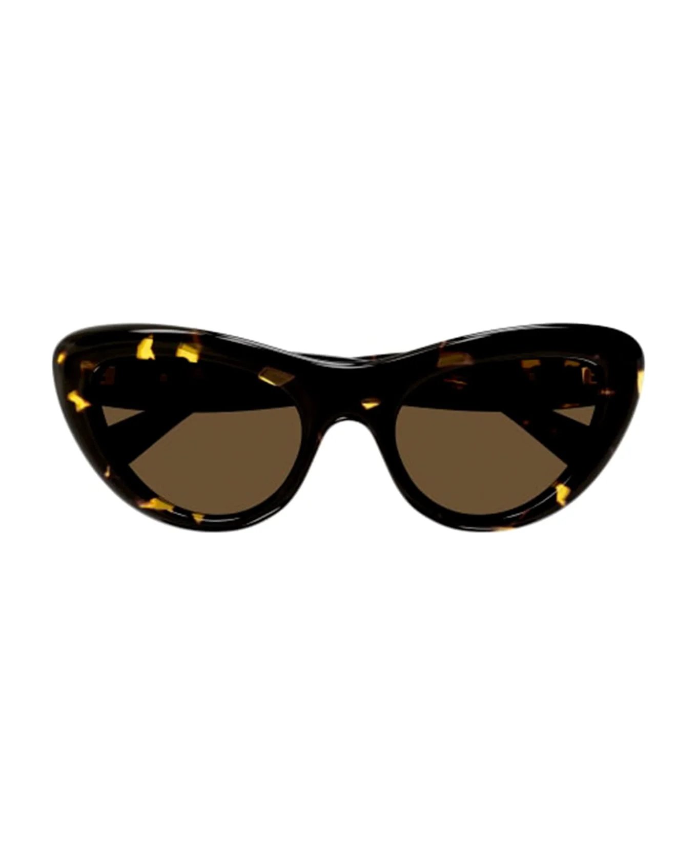 Bv1282s-002 - Havana Sunglasses - 1