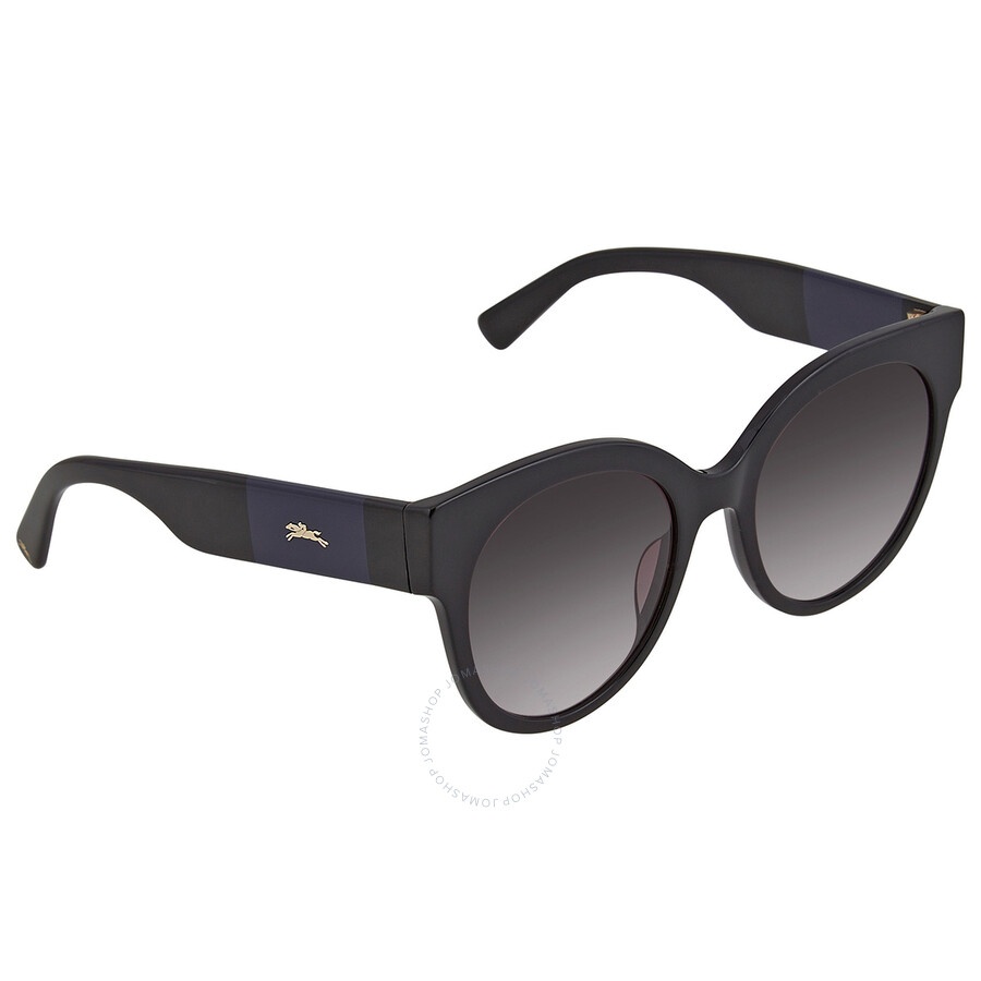 Longchamp Grey Gradient Round Ladies Sunglasses LO673S 001 53 - 2
