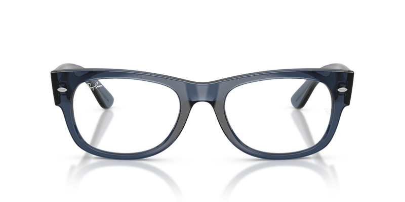 MEGA WAYFARER II OPTICS 4