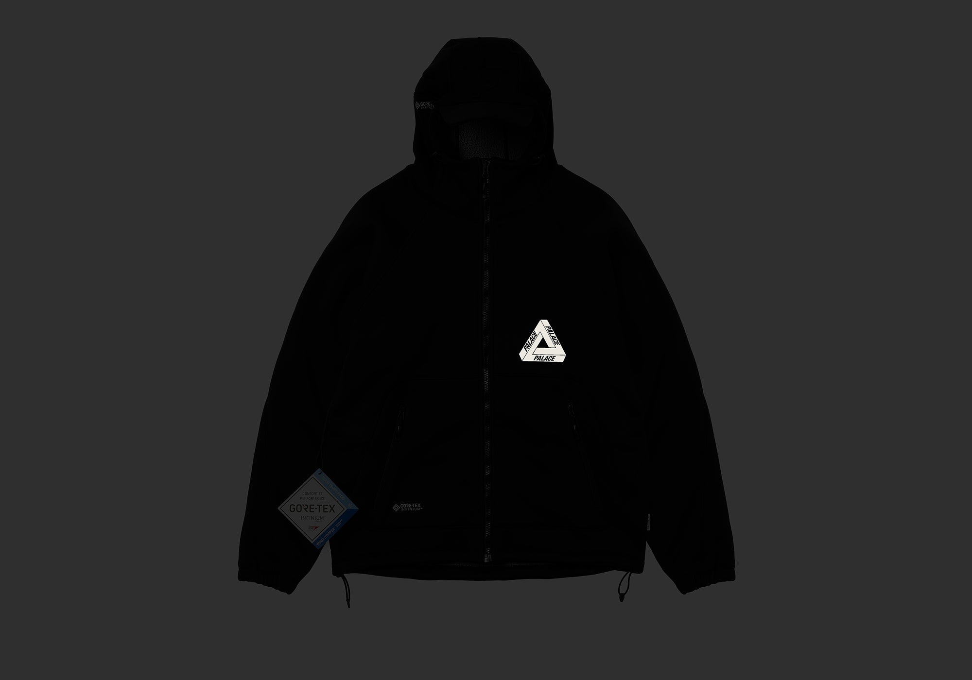 PALACE GORE-TEX INFINIUM CAP JACKET BLACK | REVERSIBLE