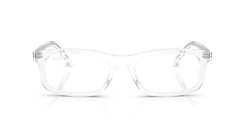 RB5450 OPTICS 4