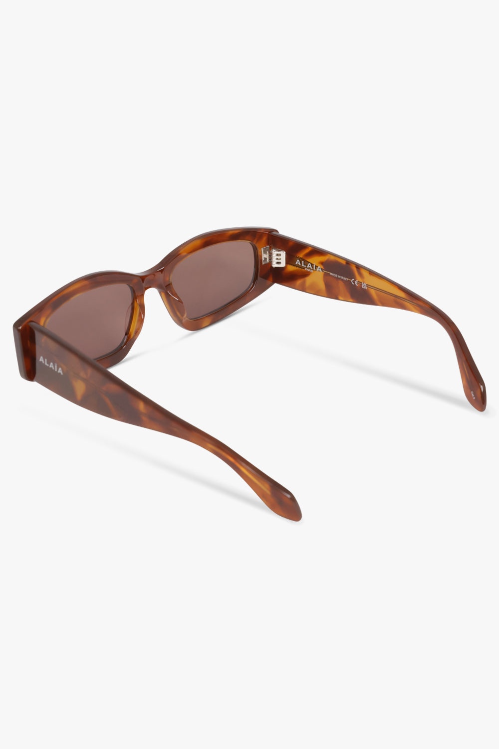 DIRECTIONAL SUNGLASSES | HAVANA/BROWN - 3