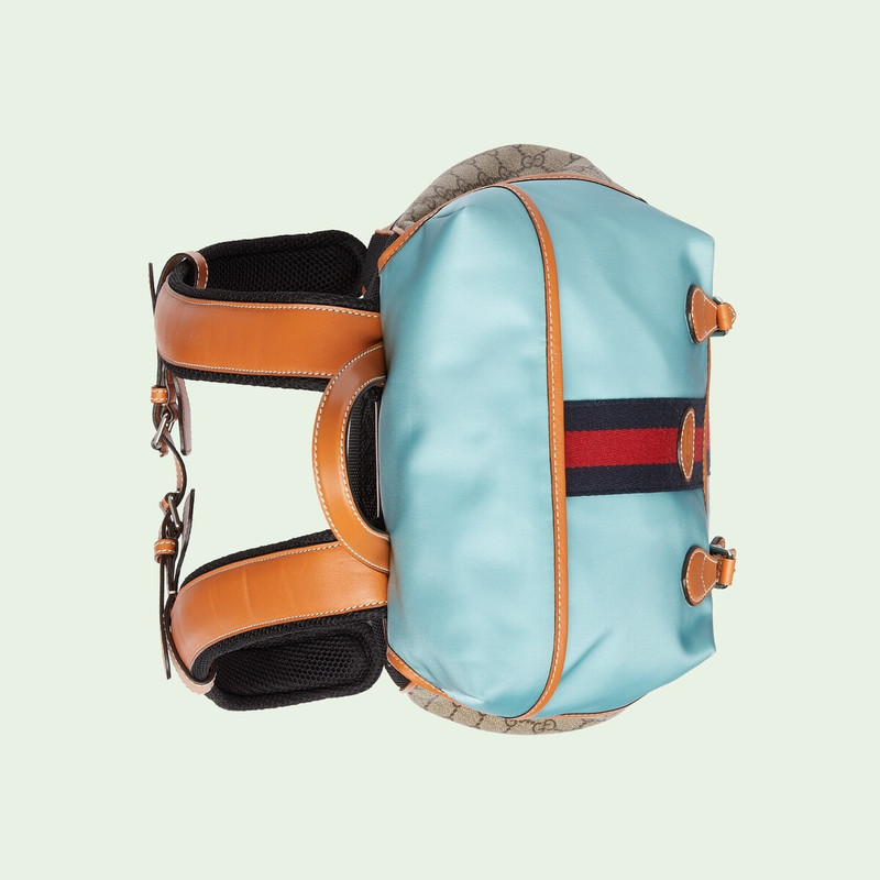 Backpack with Web stripe 6