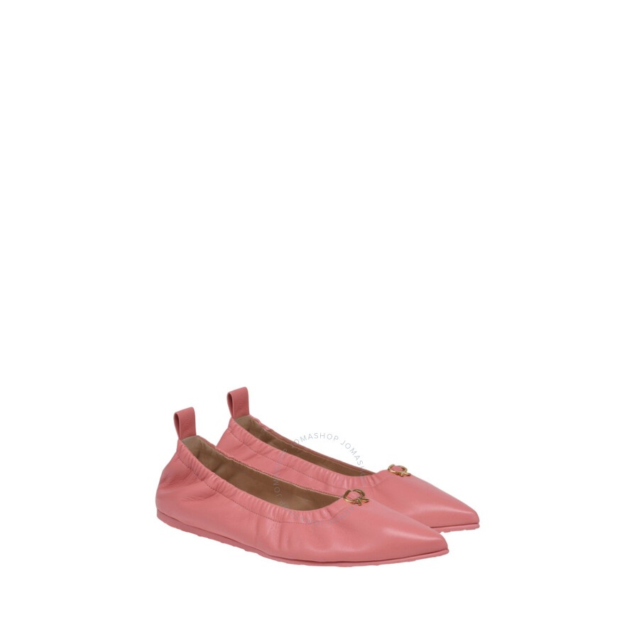 Gianvito Rossi Camellia Alina Ballerina Shoe - 2