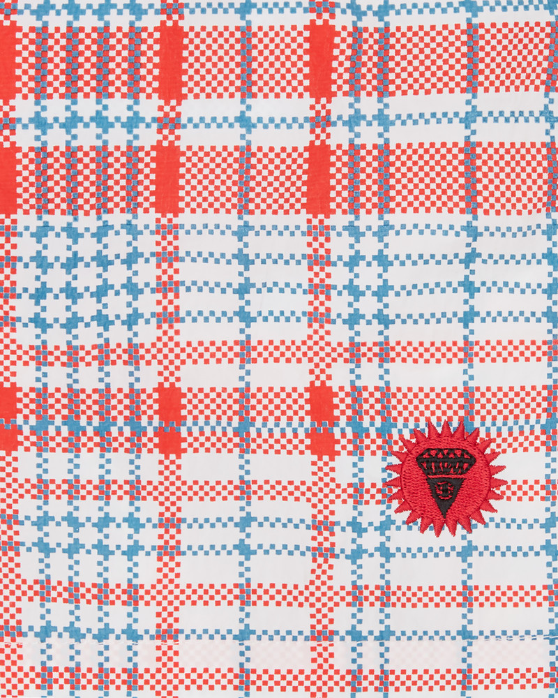 SHOPPER RUNNING DOG SWIM SHORTS 5