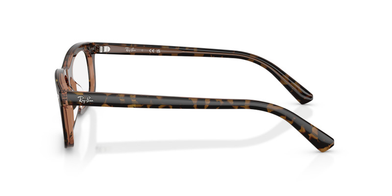 RB5450 OPTICS 5