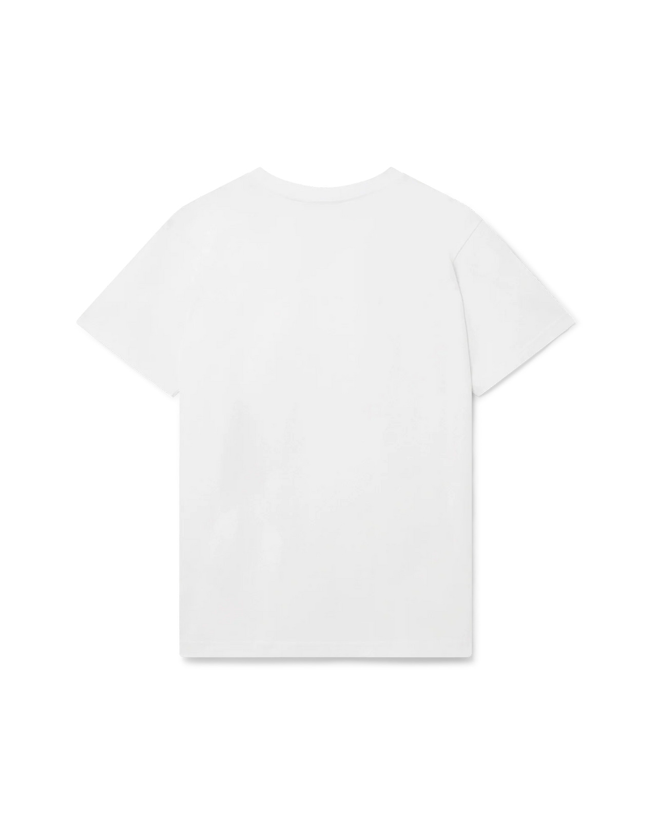 Casa Turtle T-Shirt - 2