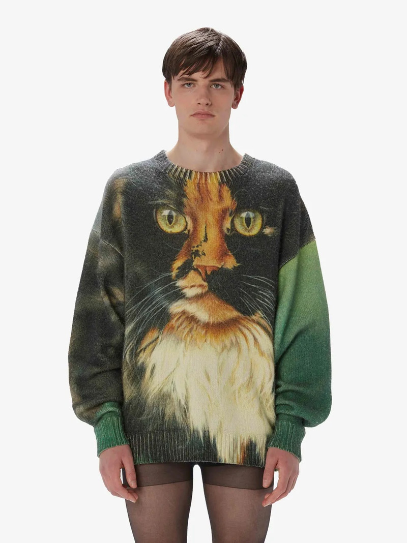 JW Anderson PRINTED SWEATER outlook