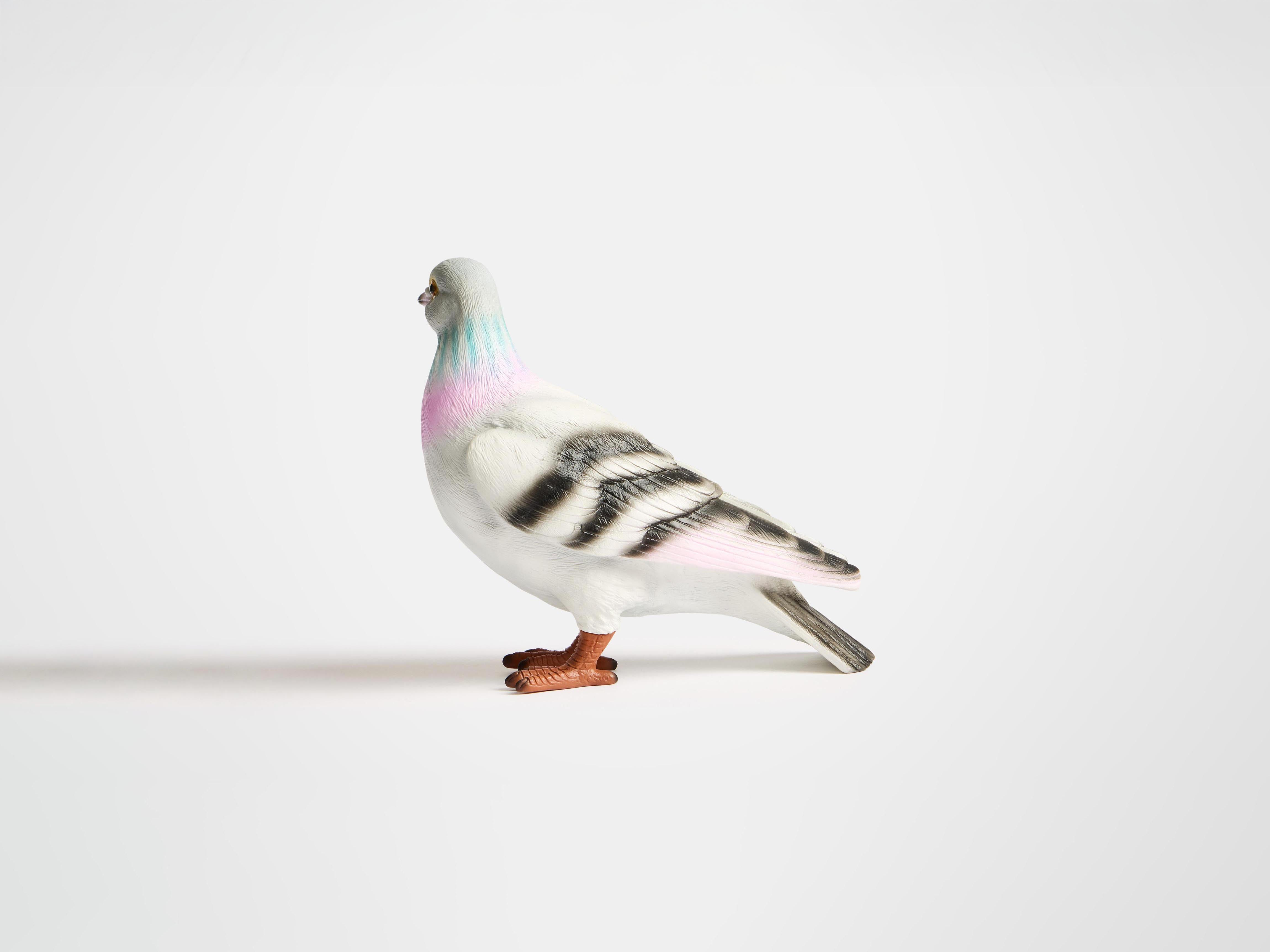 PIGEON CLUTCH IN GREY - 6