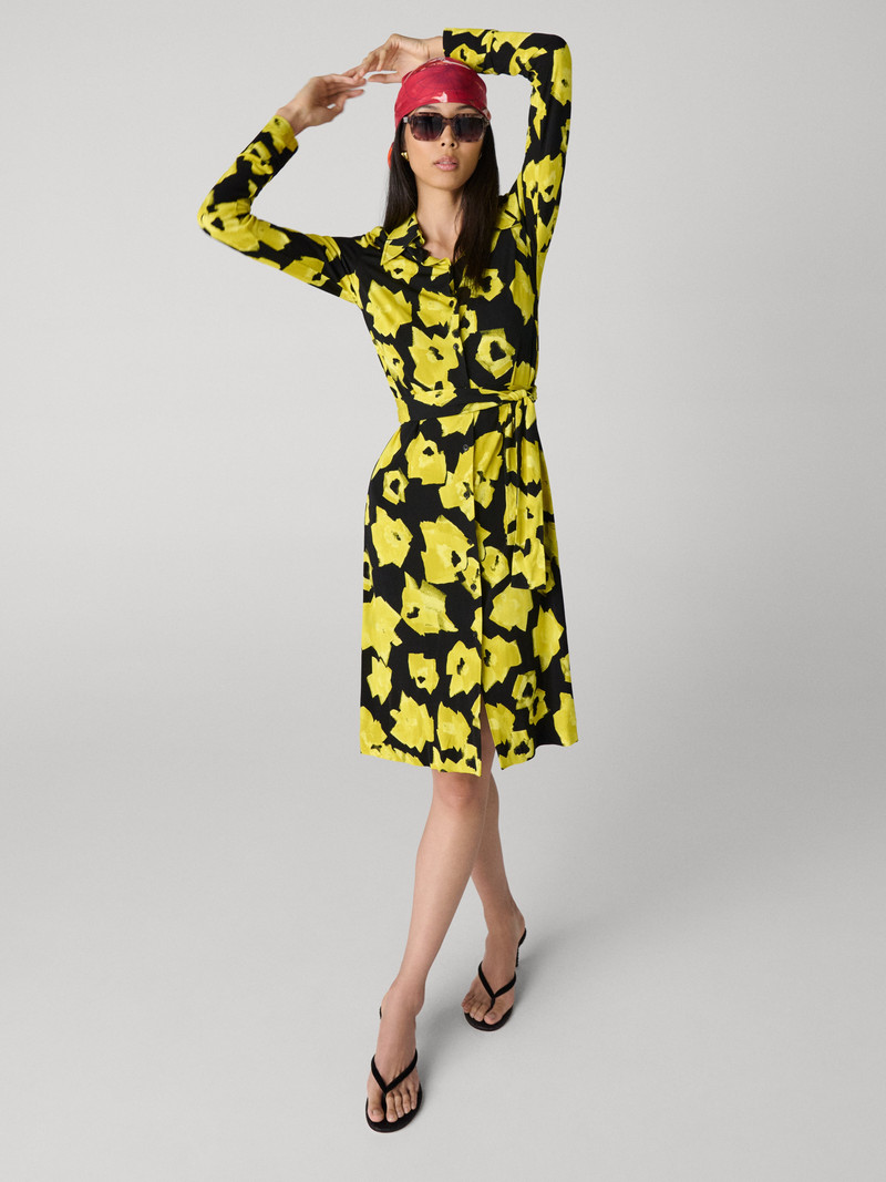 Diane Shirt Dress 5