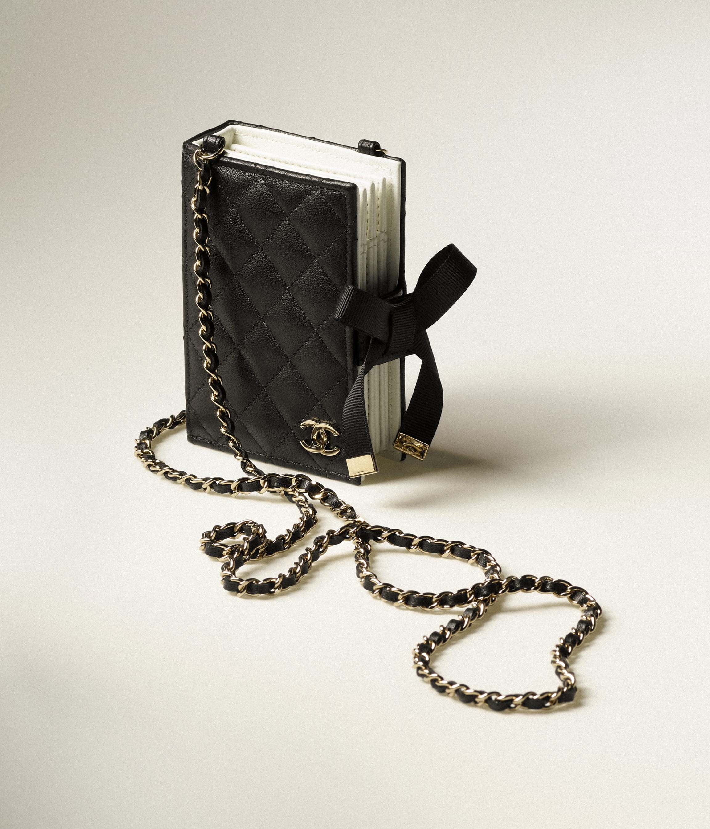 Card Holder with Chain - 2
