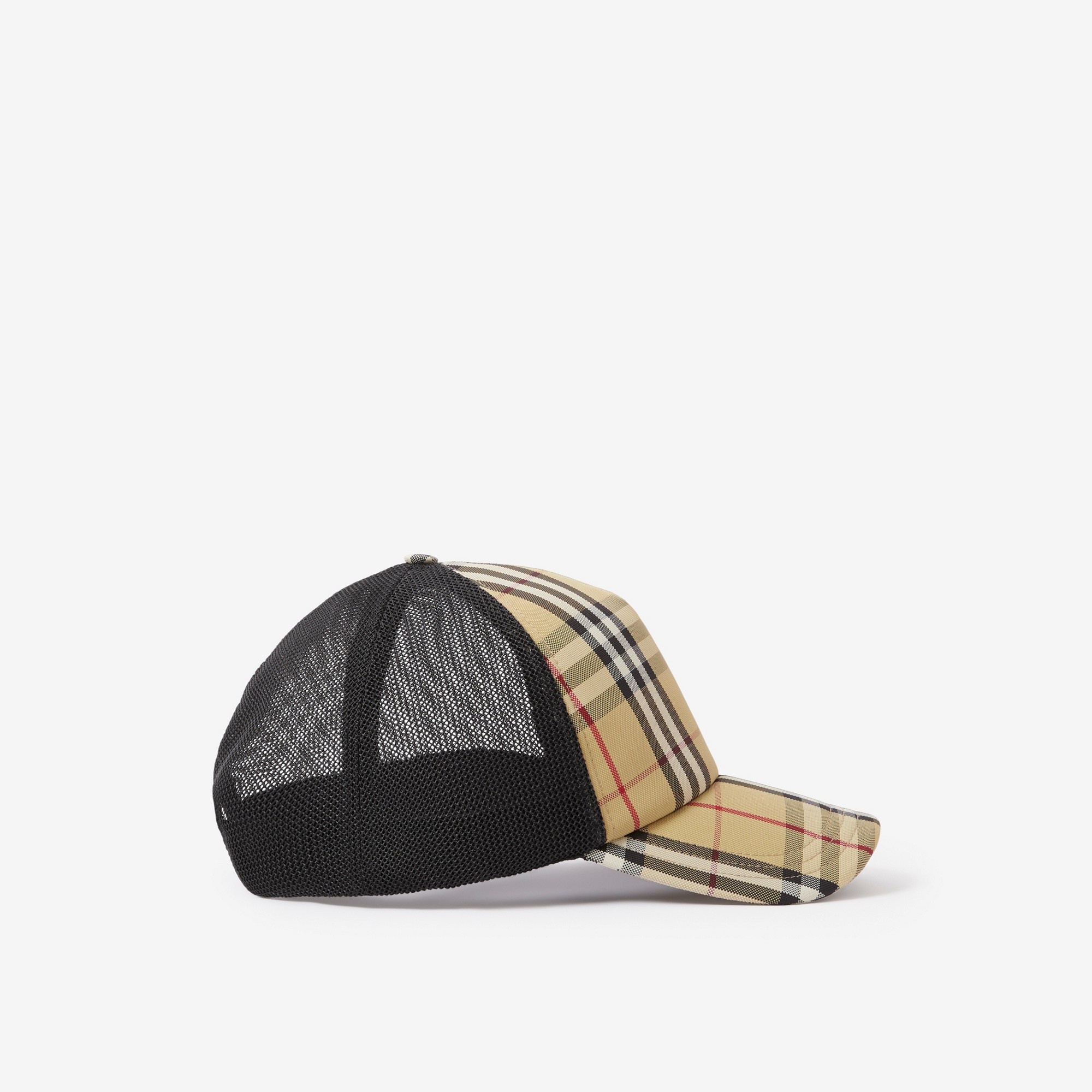 Check and Mesh Cap - 2