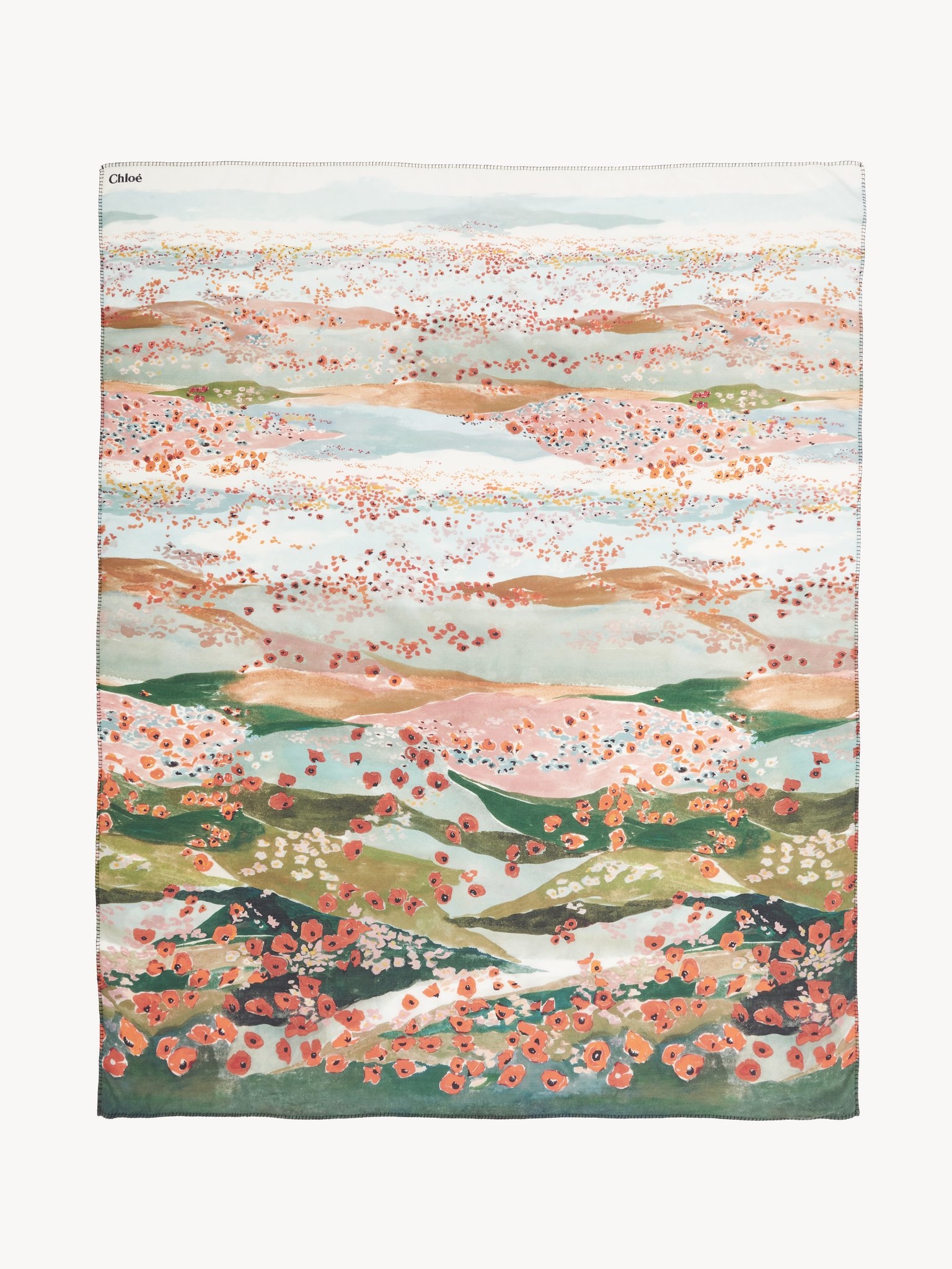 PRINTED LONG SCARF - 2