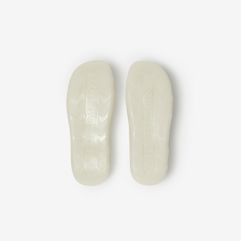 Rubber Stingray Slides 6