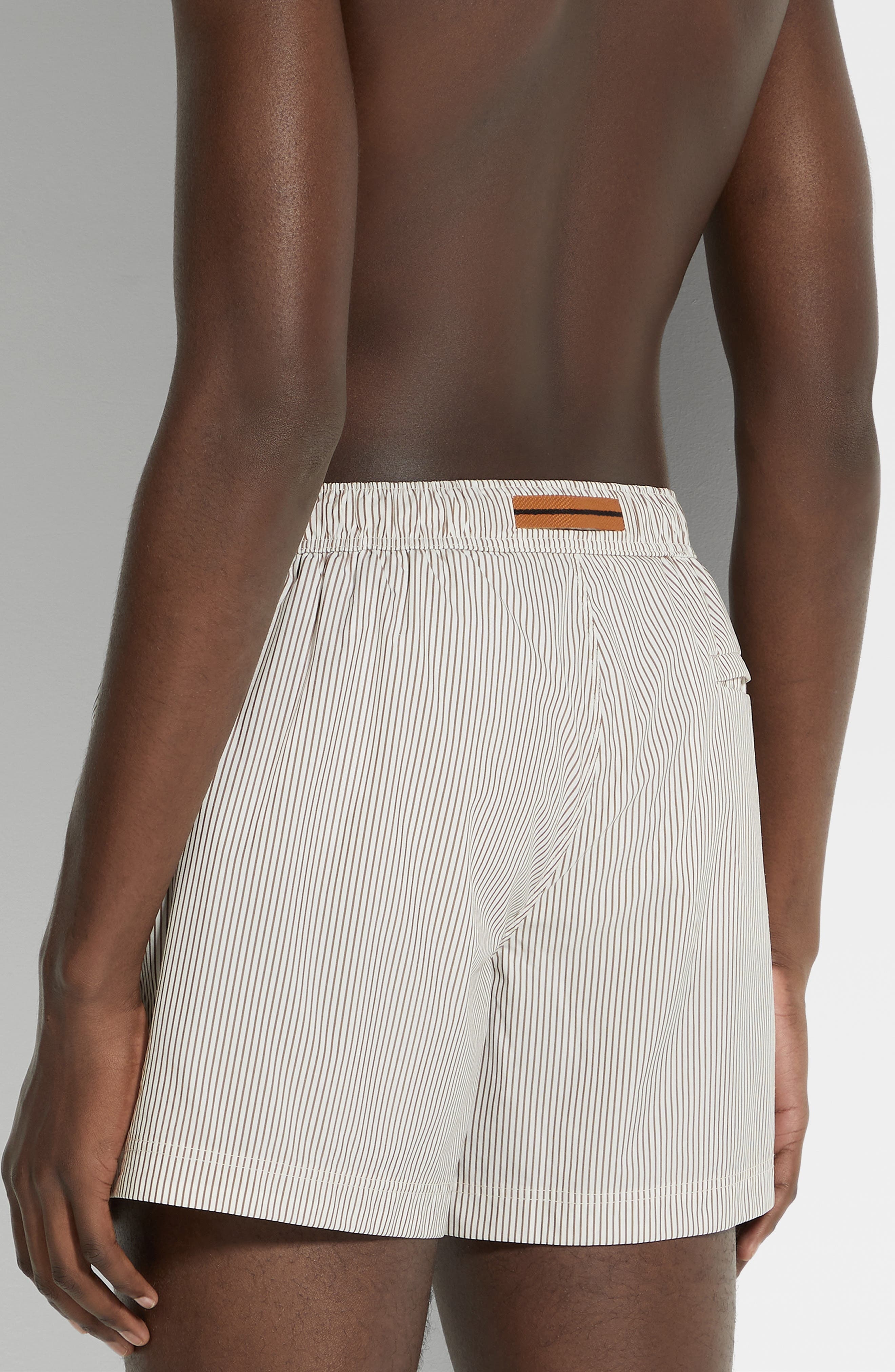 ZEGNA Pinstripe Swim Trunks in White Striped at Nordstrom - 2