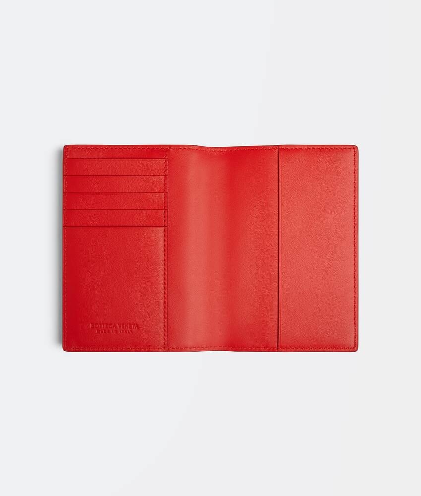 passport case - 2