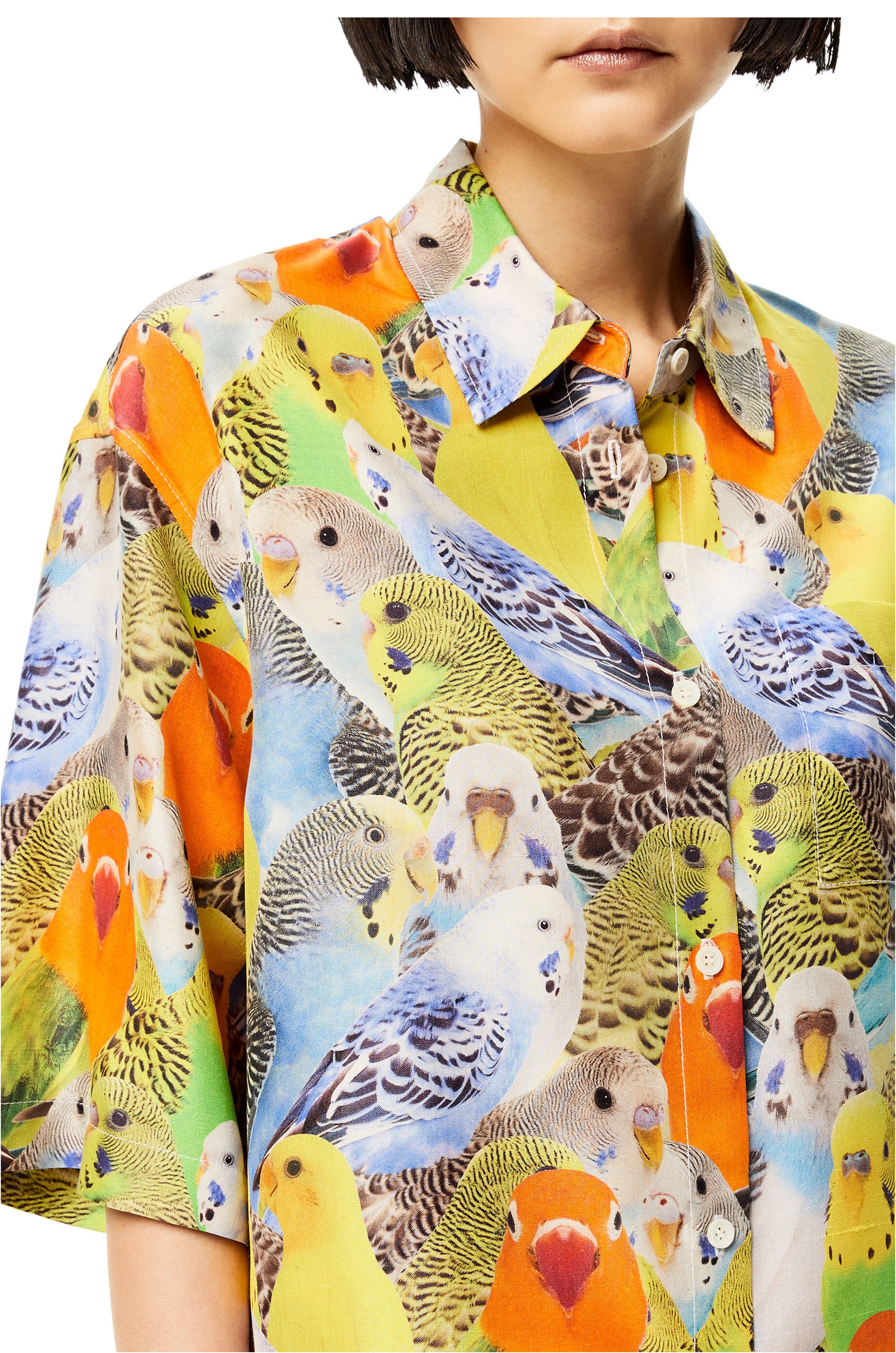 Parrots print shirt in silk - 5