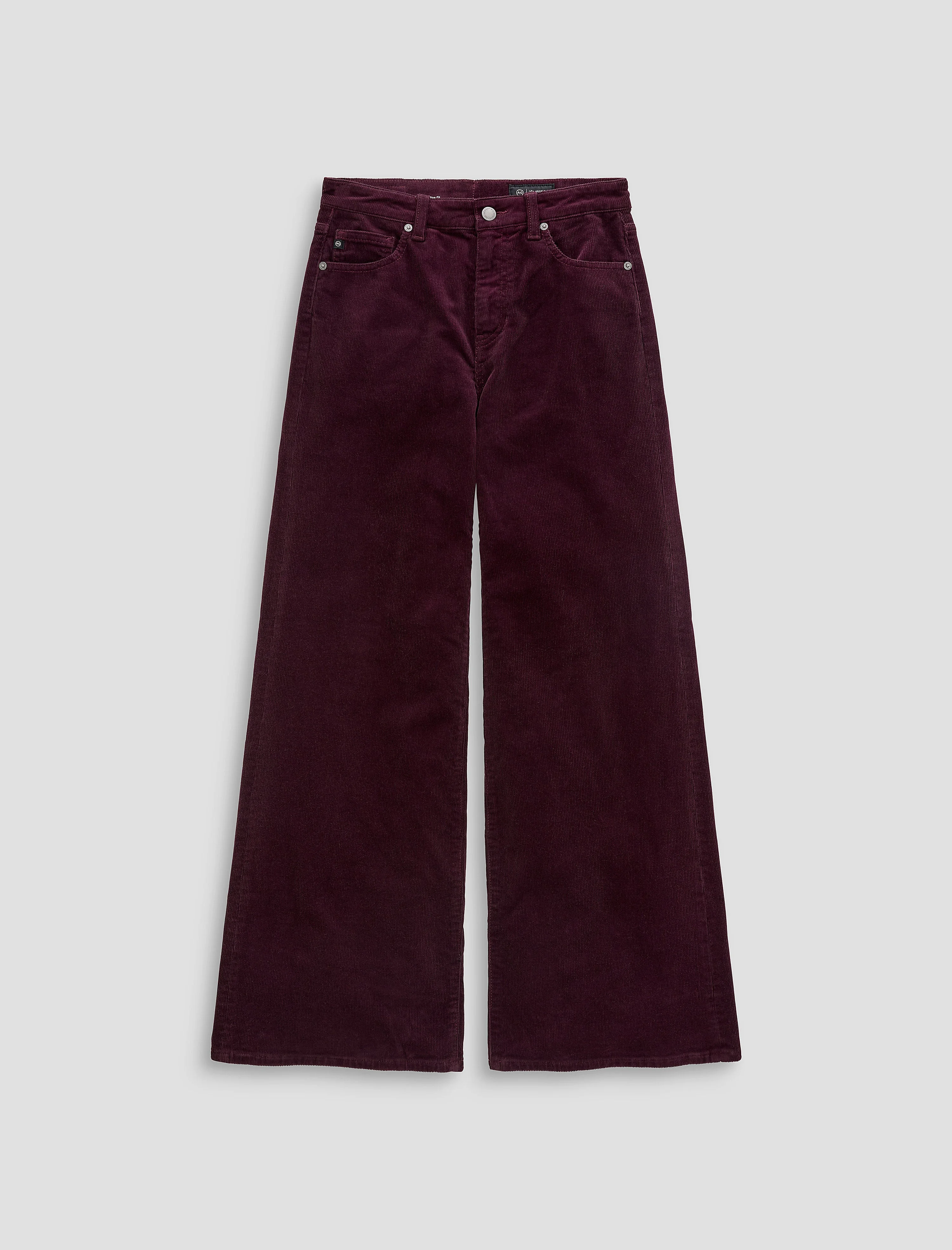 Saige Wide Leg Corduroy Pant - 1