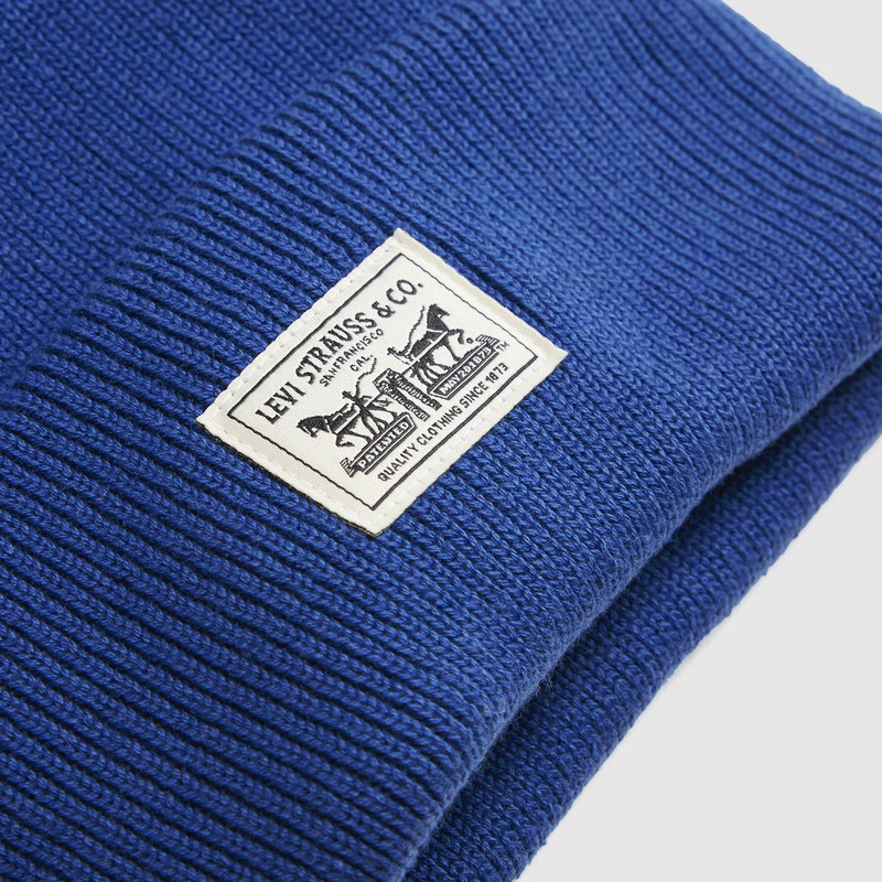 BACKPATCH BEANIE 4
