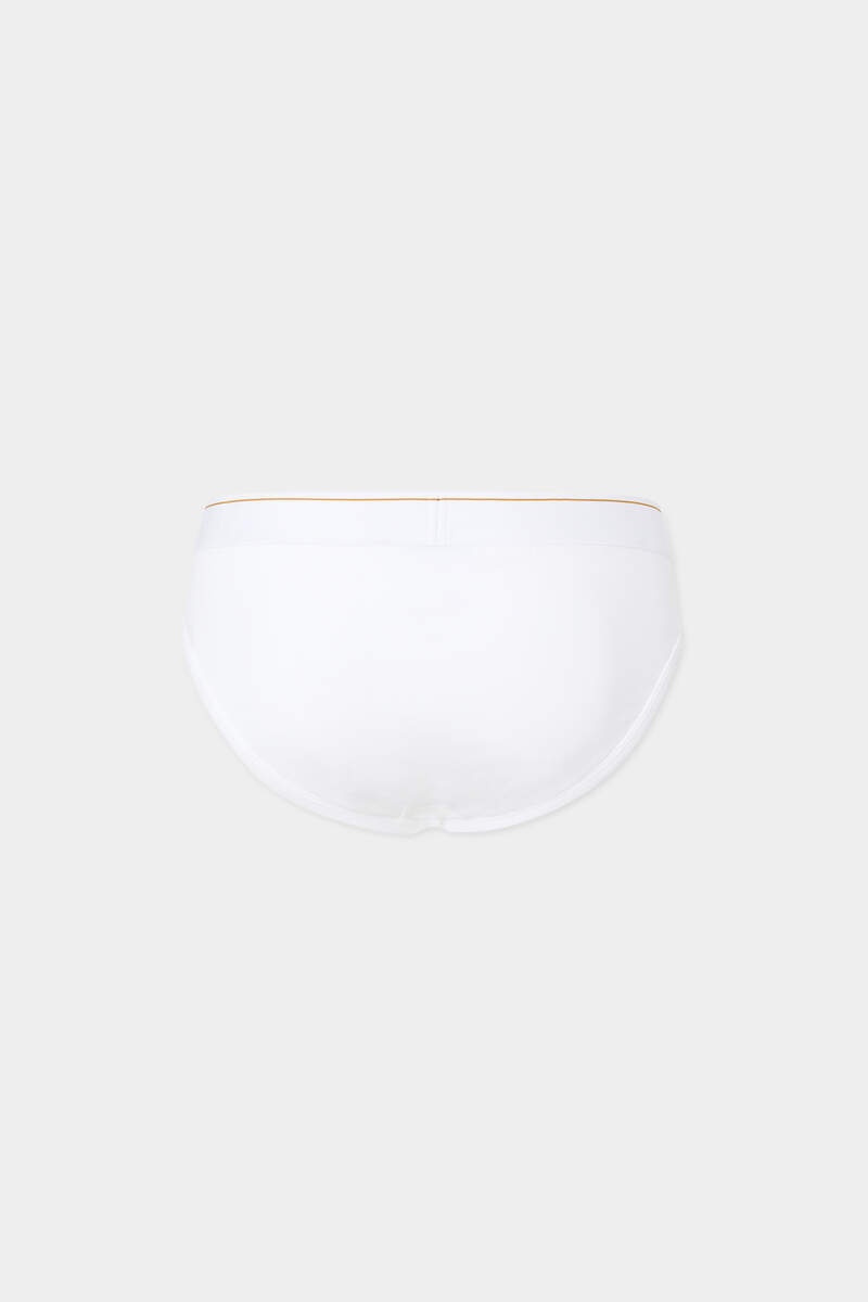 DSQ2 LEAF BRIEF - 2
