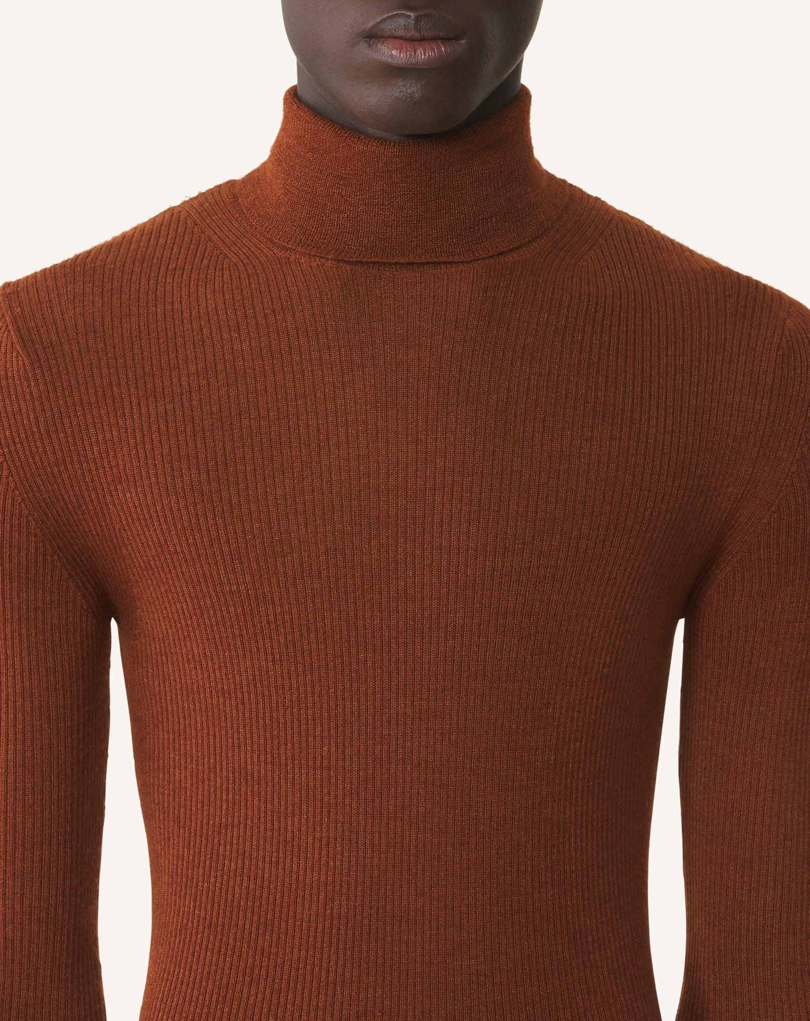 MERINO WOOL AND SILK TURTLENECK SWEATER - 5