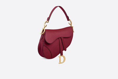 Dior Saddle Bag outlook