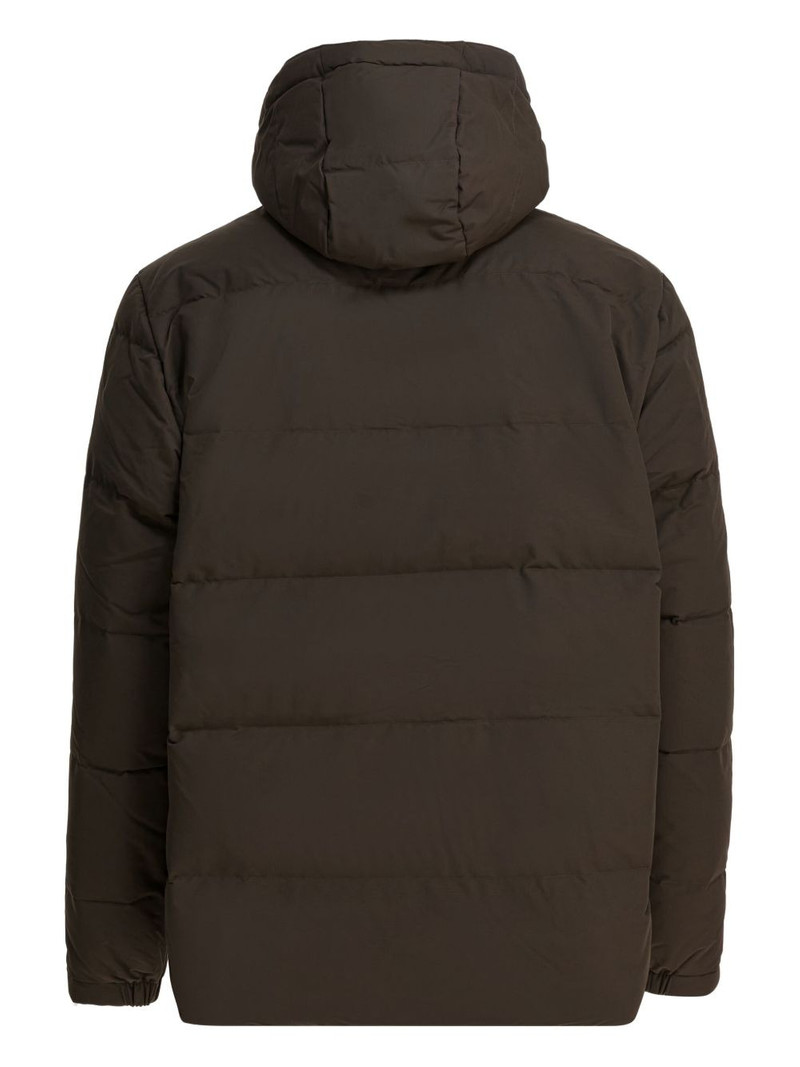Patagonia hooded puffer jacket outlook