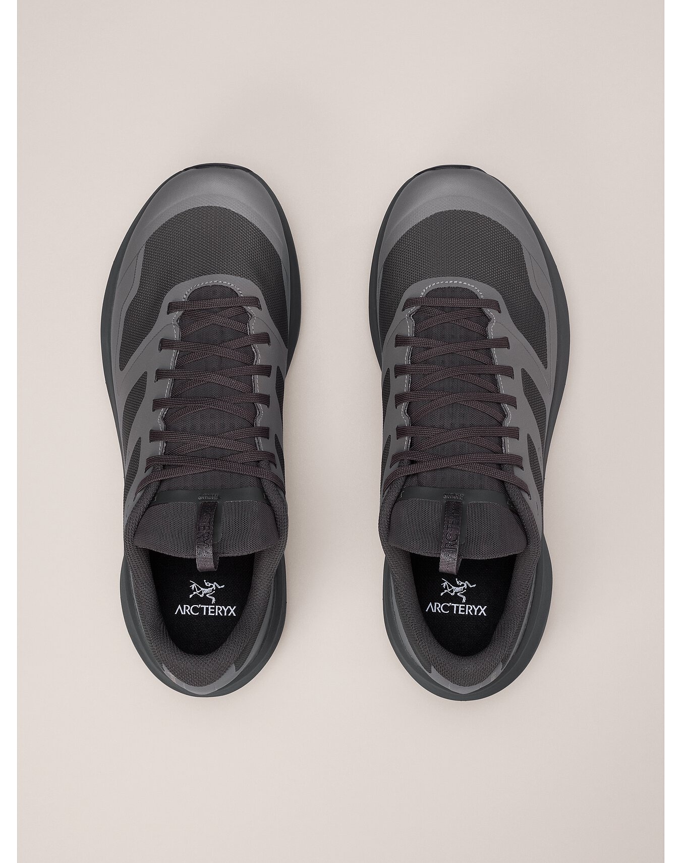 Norvan LD 3 GTX Shoe - 3